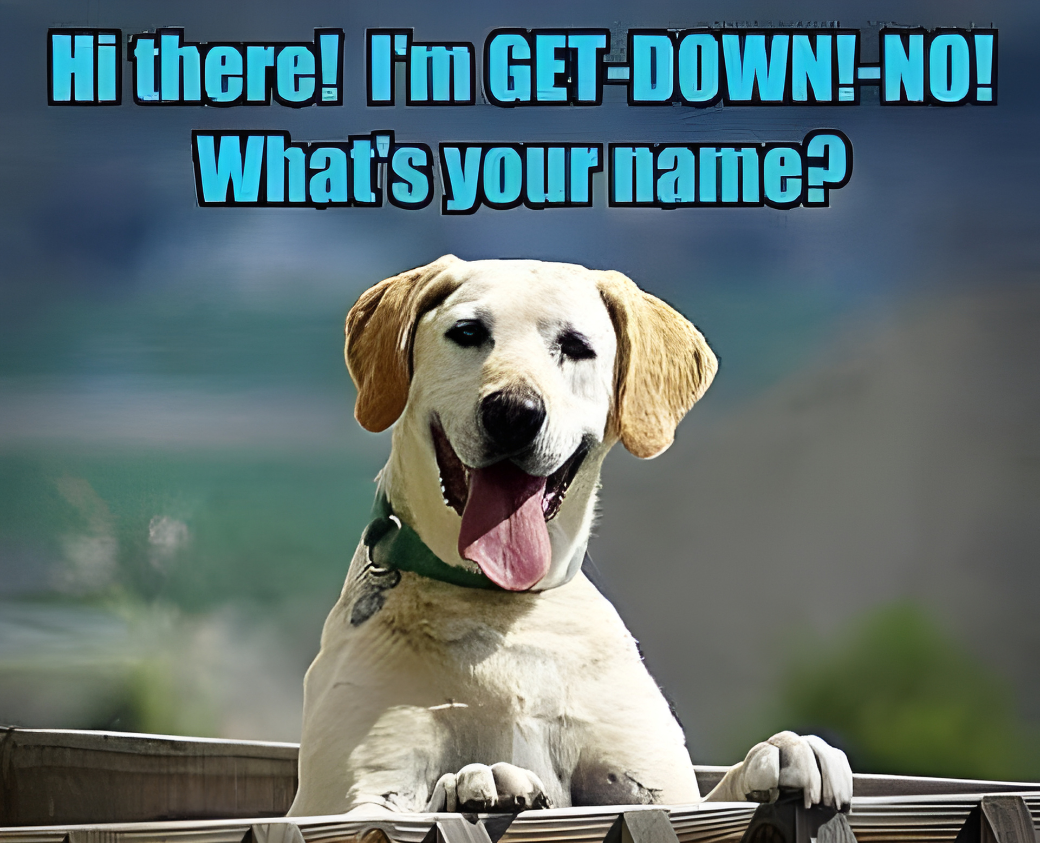 A happy yellow Labrador puppy with one eye closed, sticking out its tongue, leaning on a wooden railing, with a blurred outdoor background, and text above saying 'Hi there! I'm GET-DOWN! NO! What's your name?'