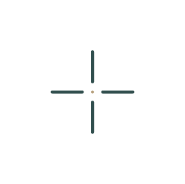 Pinpoint accuracy icon, a plus-sign style graphic with a dot in the very center.