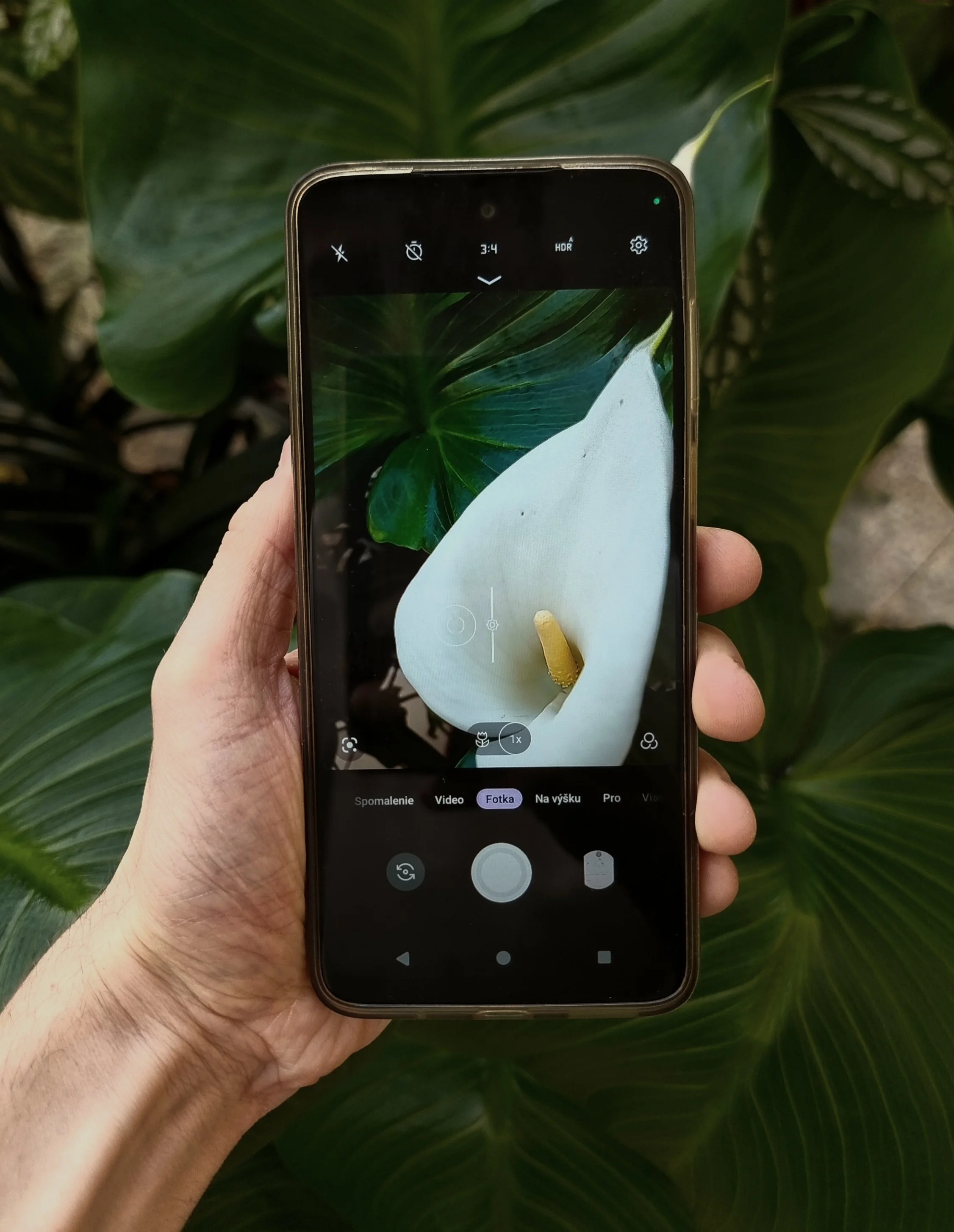 A hand holding a smartphone with a camera app open, focusing on a white calla lily flower with a yellow spadix, in front of green leafy plants.