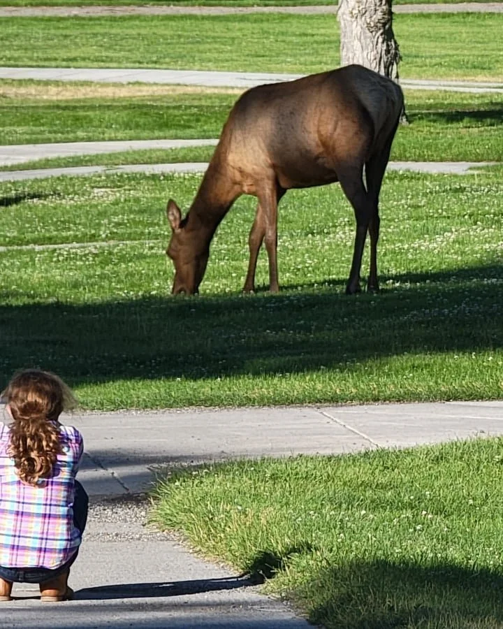 204114015_261433849084722_413762060254359544_n.jpg