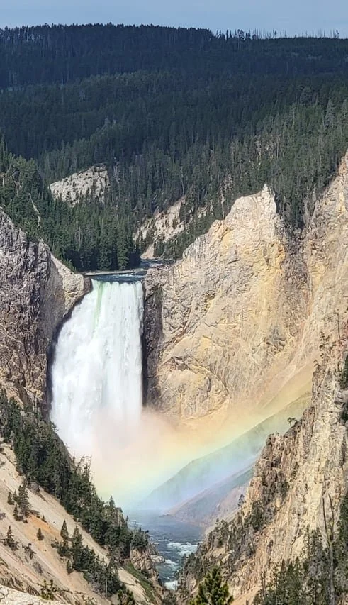 I took this with my cell phone!
