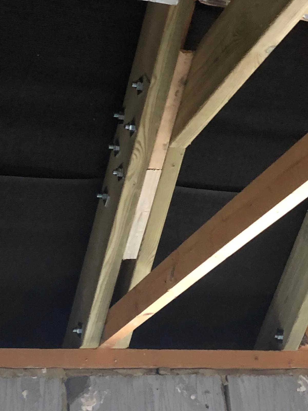 61a2fdad-9850-4d12-8bc8-59837cf23510 (1).jpg