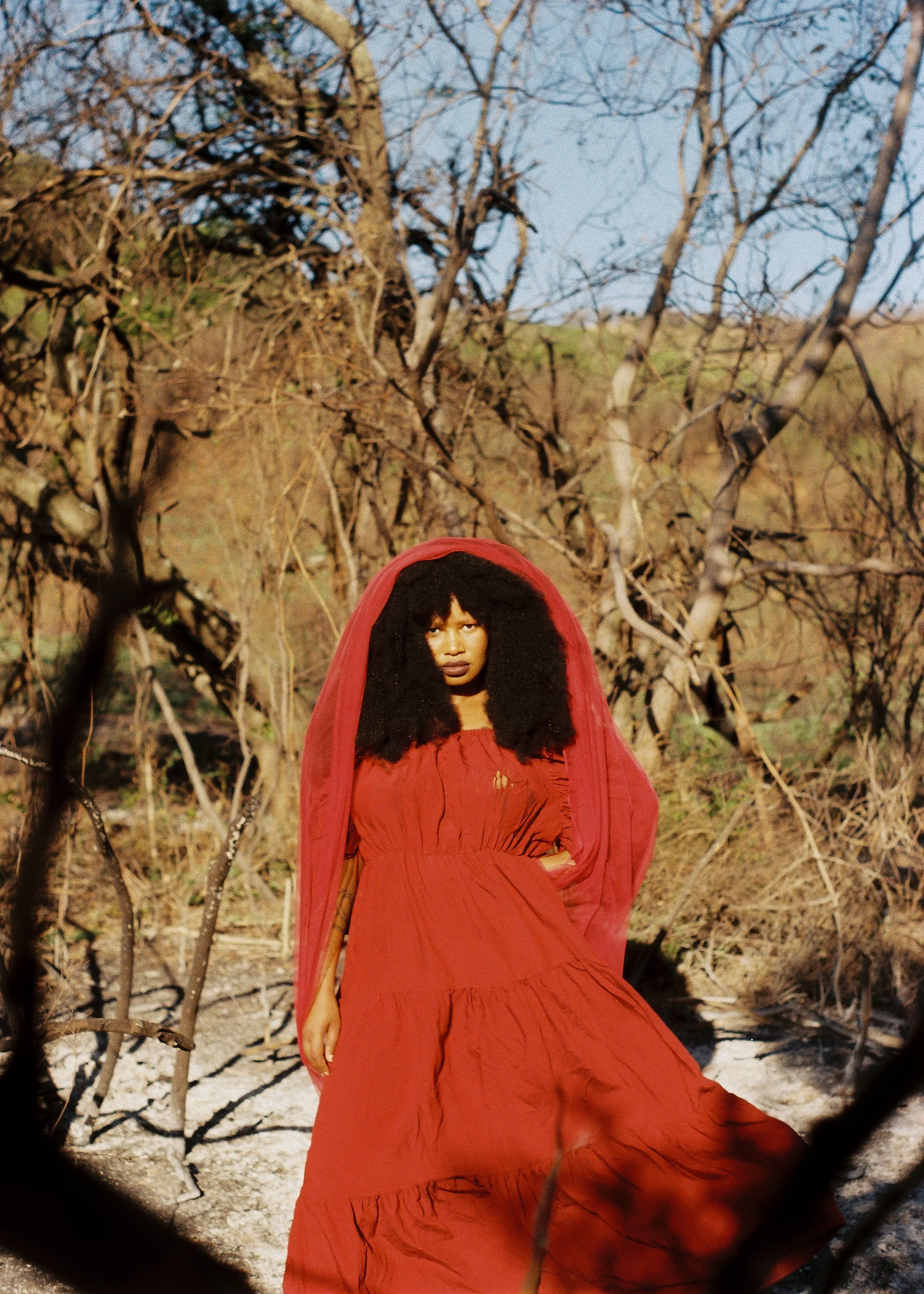 Esinako-23.jpg