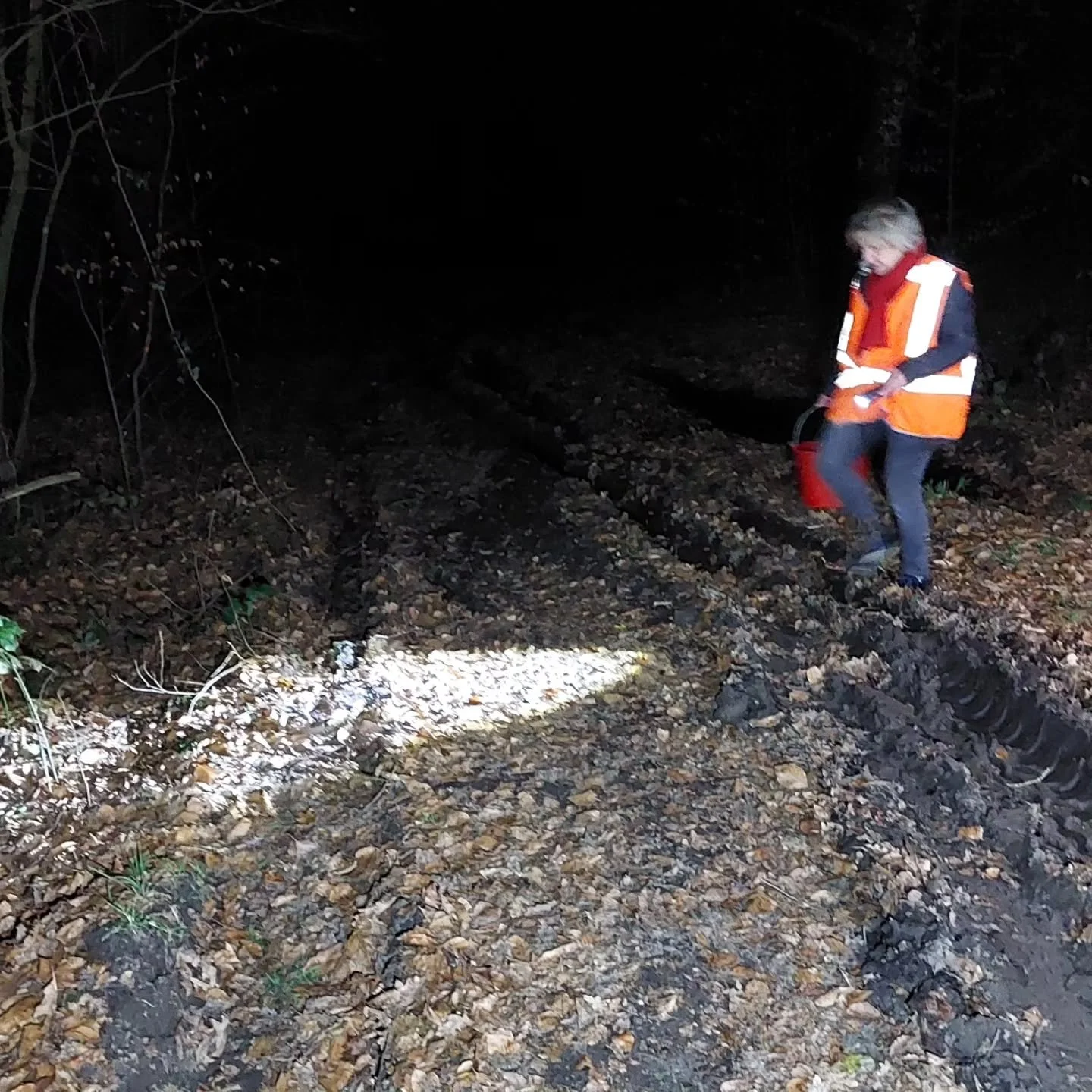 Diepe spoorvorming maakt het, net als wegwerkzaamheden, voor padden en amfibie&euml;n lastig om te trekken. Ze raken gedesori&euml;nteerd of kunnen niet opklimmen tegen de steile wanden. In Lonneker hebben ze een aantal verkleumde padden veilig uitge