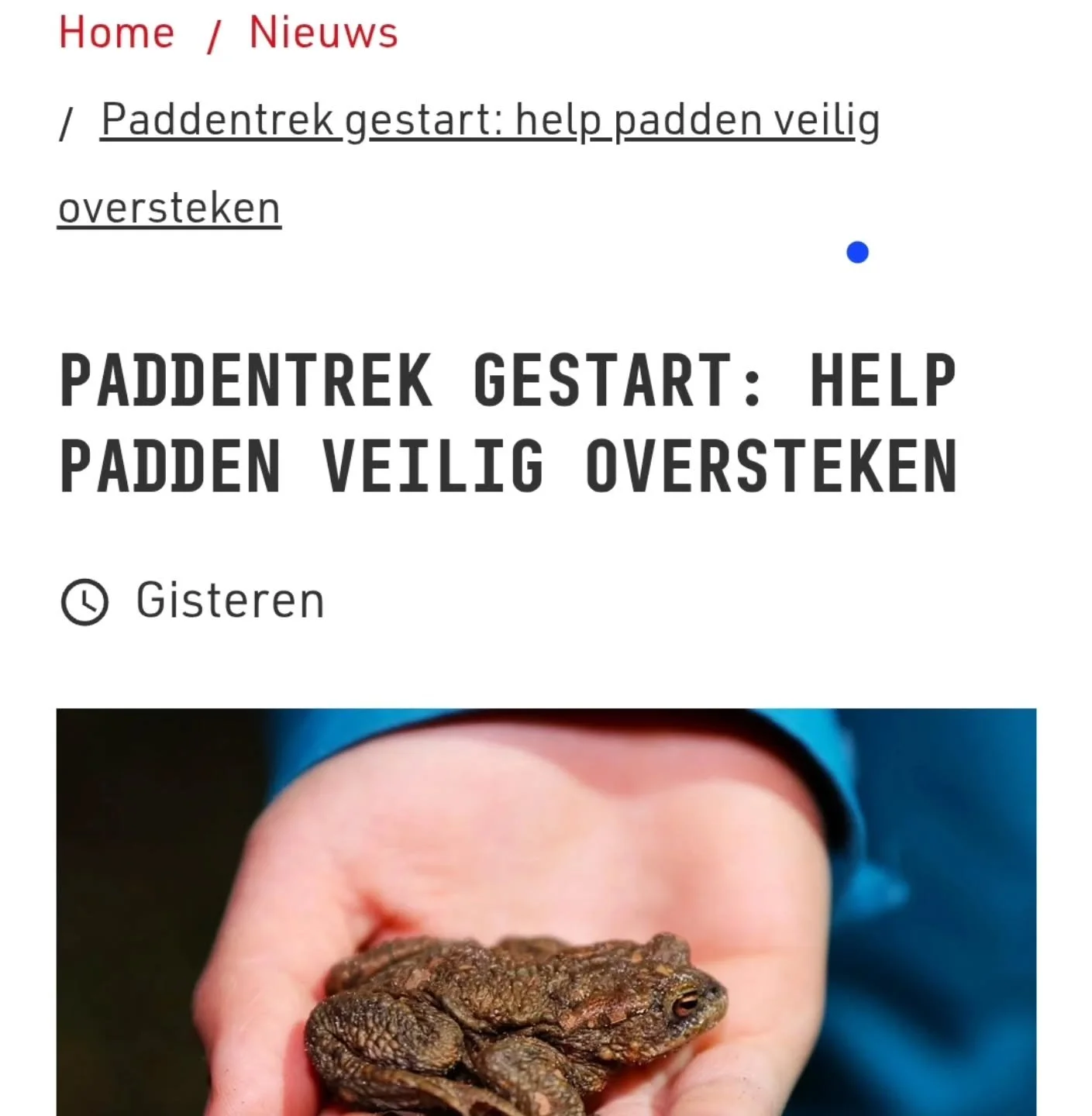 Bericht van de @gemeente_enschede op hun website! 

https://www.enschede.nl/paddentrek-gestart-help-padden-veilig-oversteken