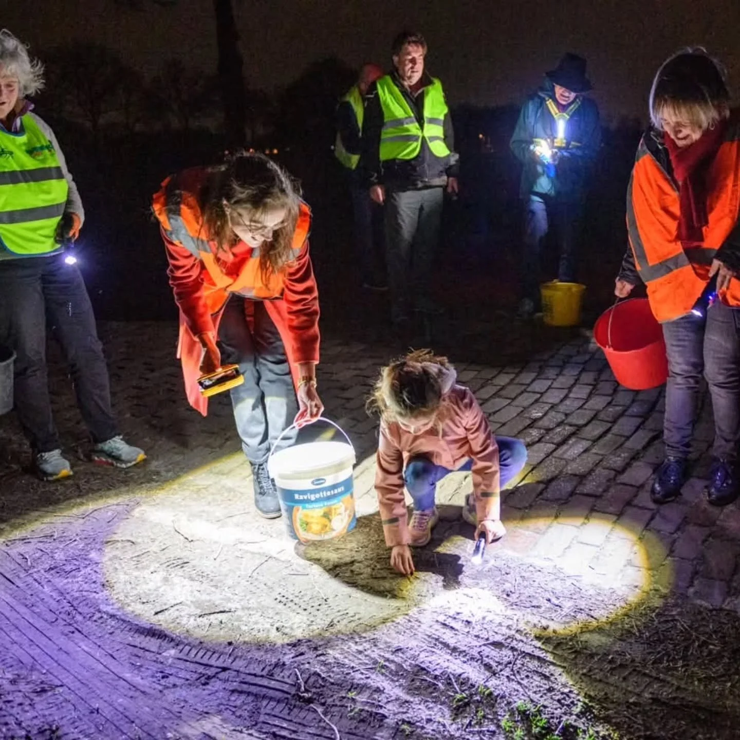 Kom vanavond helpen! De paddentrek is begonnen in Gemeente Enschede 🐸

Gisteravond zijn er al meer dan 800 padden geteld. Helaas lagen er ook erg veel slachtoffers op de weg. Dit weekend verwachten we een zeer drukke paddentrek. Door de regen van gi