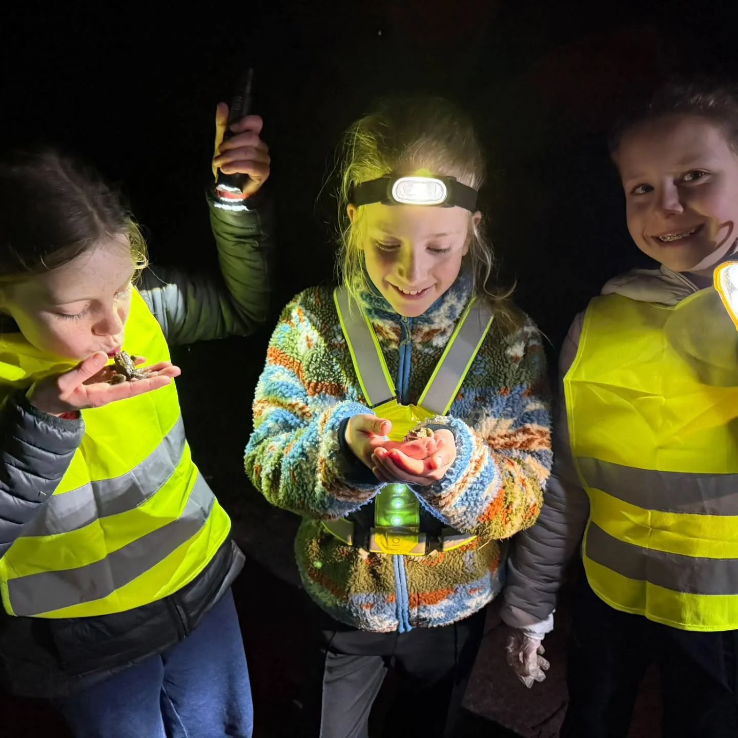 Fenne, Puck en Mint op pad! 🐸 Zou er een prins tussen gezeten hebben...?

Dank aan @kiewikesther voor de 📸