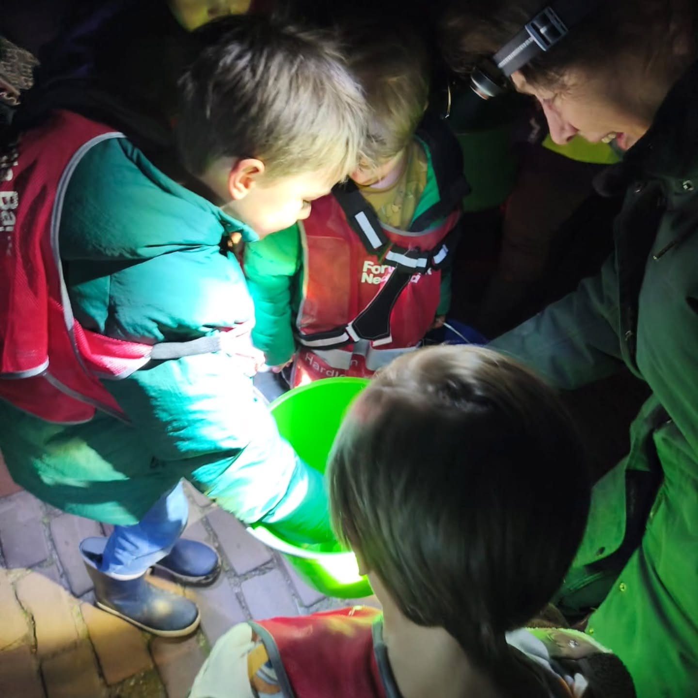 De broertjes Jorn en Ferre met hun logees op pad! 🐸 Eerst vonden ze het een beetje spannend, maar uiteindelijk hebben ze met veel enthousiasme padden gezocht samen met de aardige vrijwilligers. Die hebben hun geleerd hoe je mannetjes en vrouwtjes ku