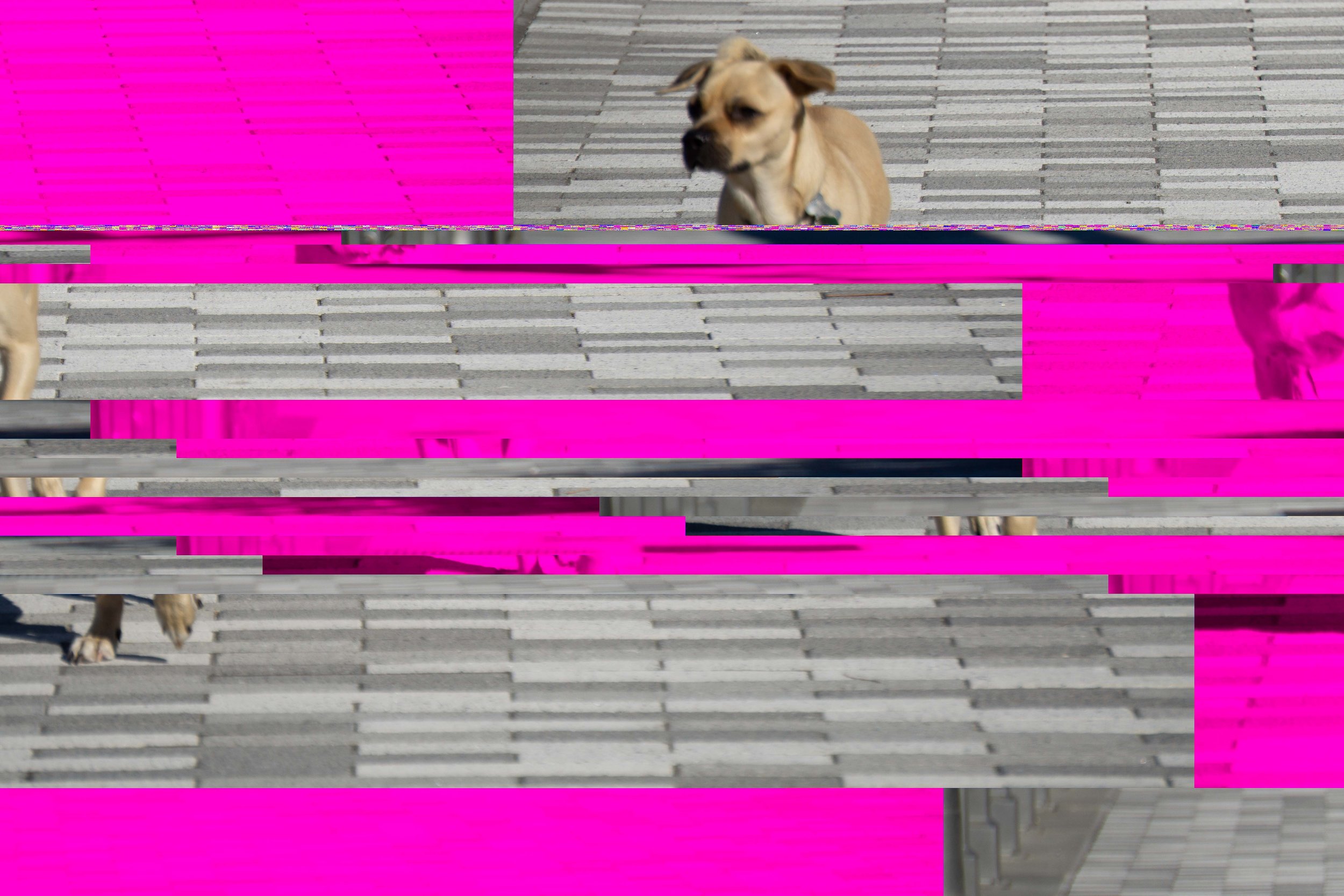 SONY ILCE-5100_20211019_093249.Id_1ac00000000169e5.jpg