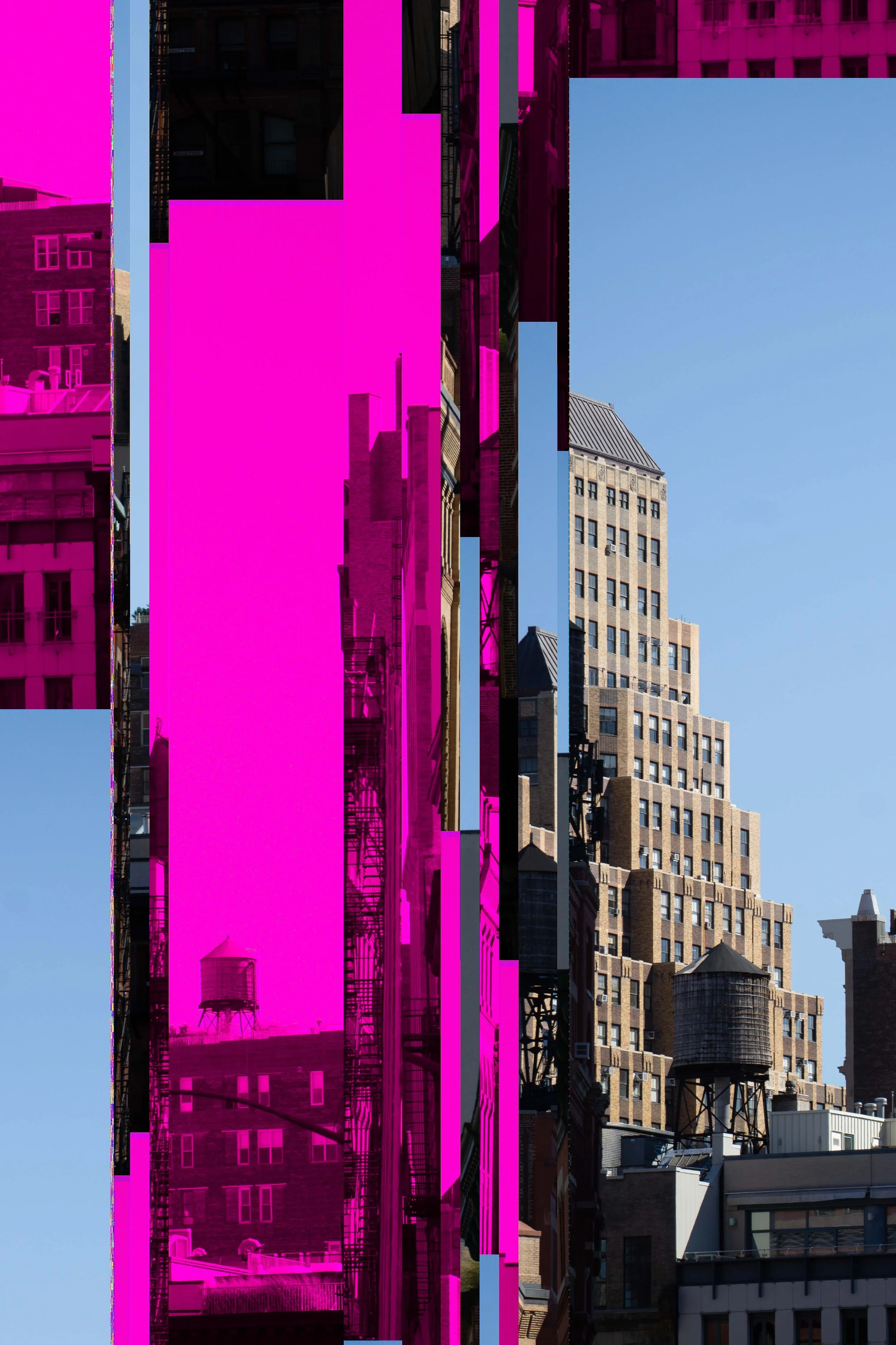 SONY ILCE-5100_20211019_102652.jpg