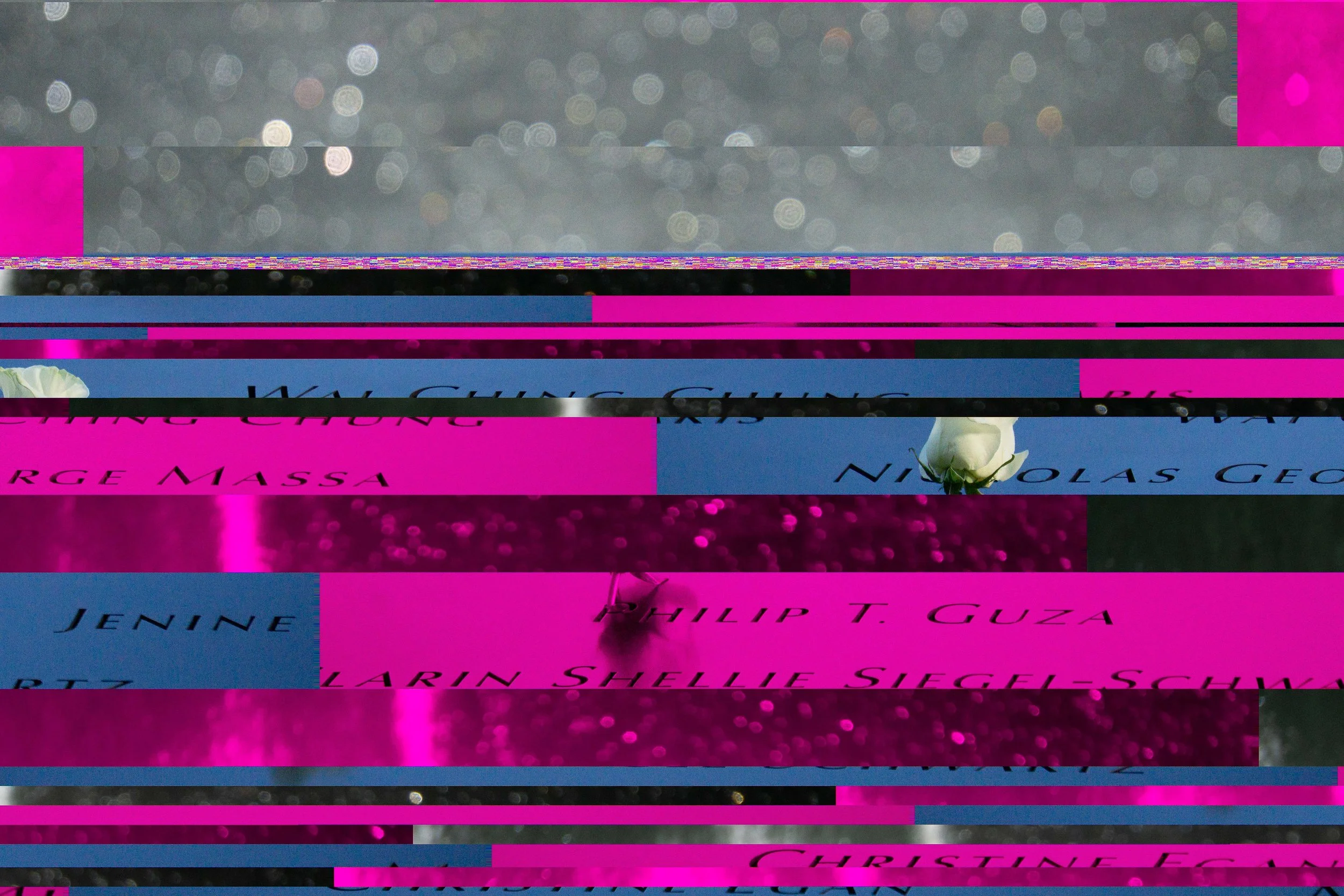 SONY ILCE-5100_20211019_115148.jpg