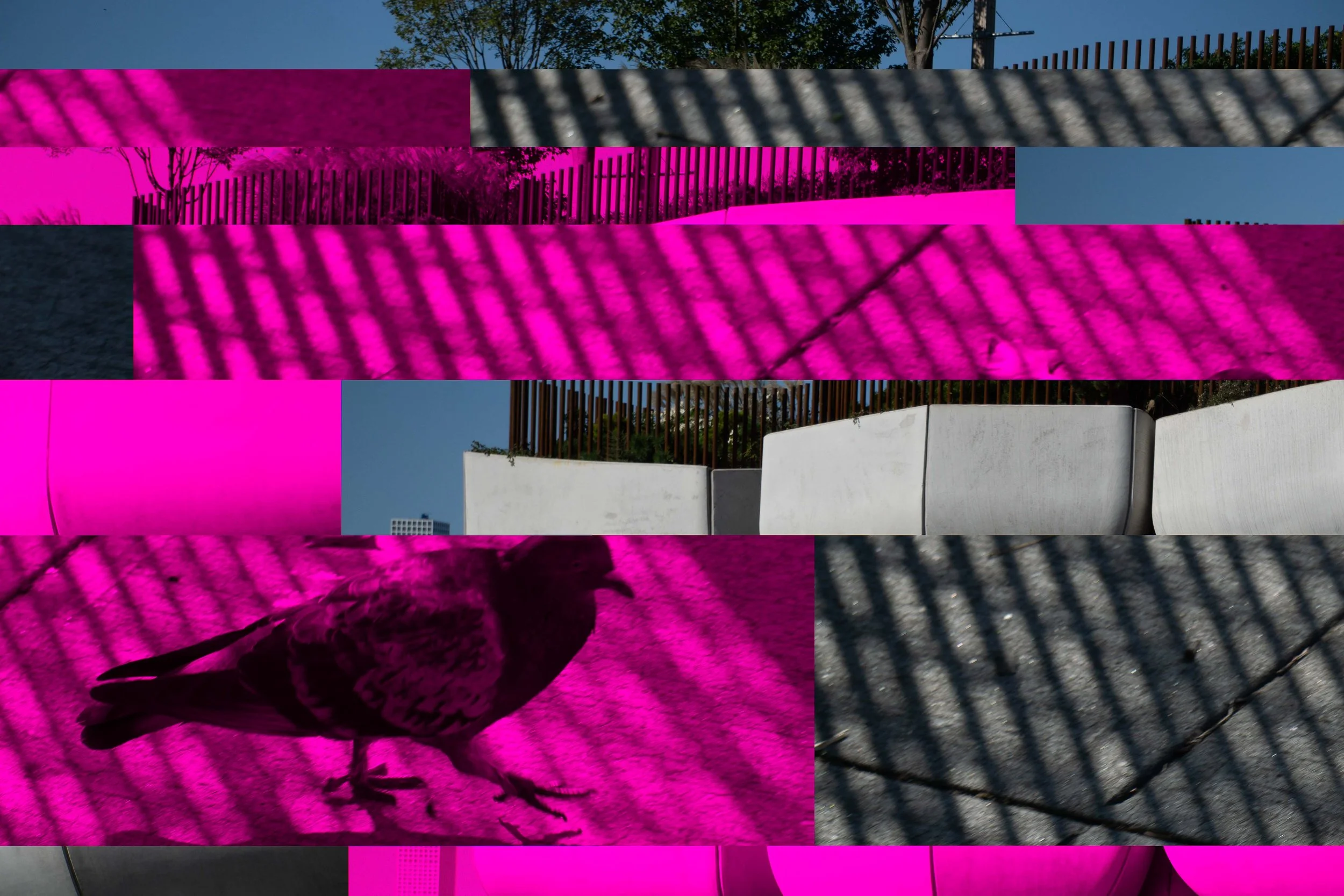 SONY ILCE-5100_20211019_092738.jpg