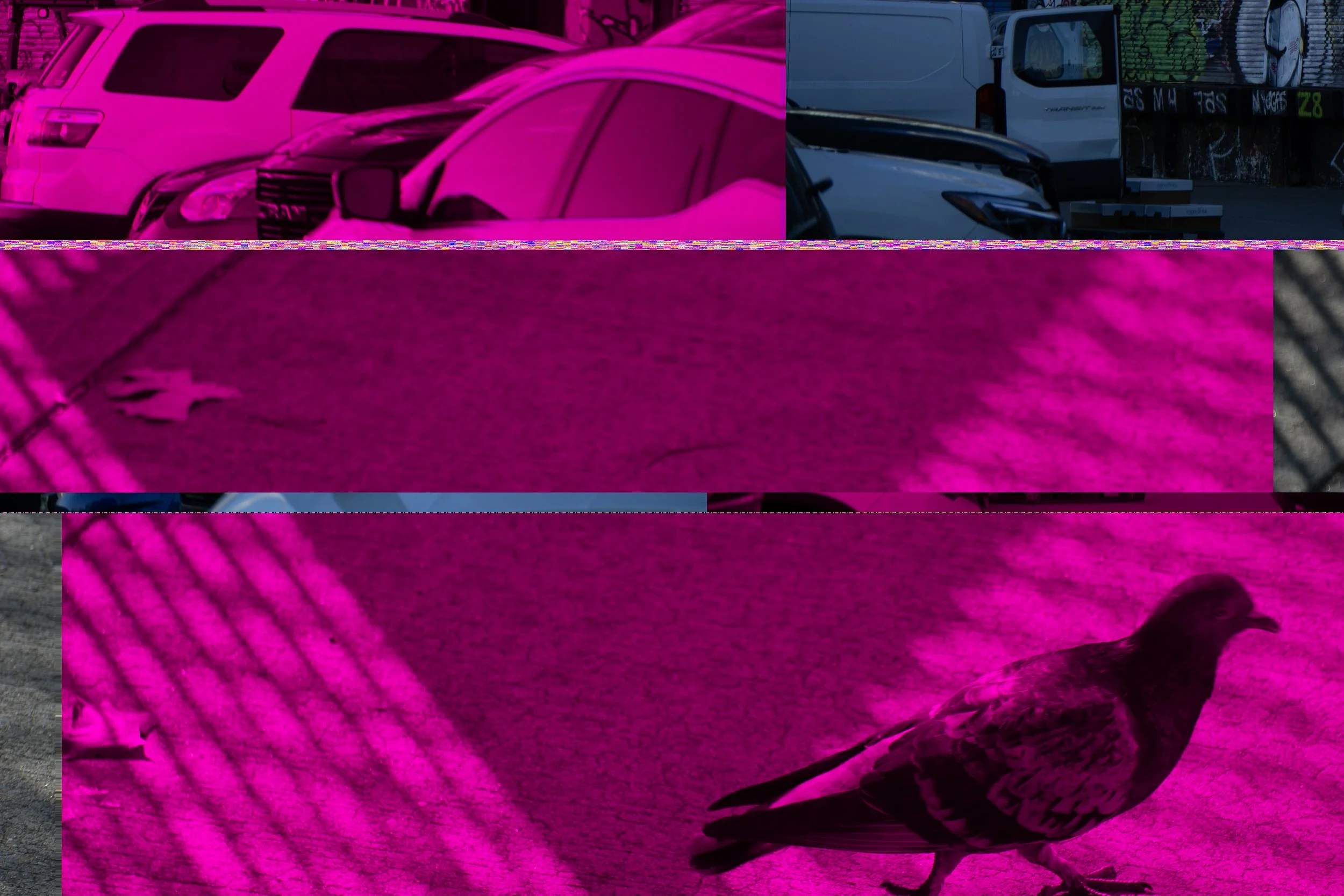 SONY ILCE-5100_20211019_092513.jpg