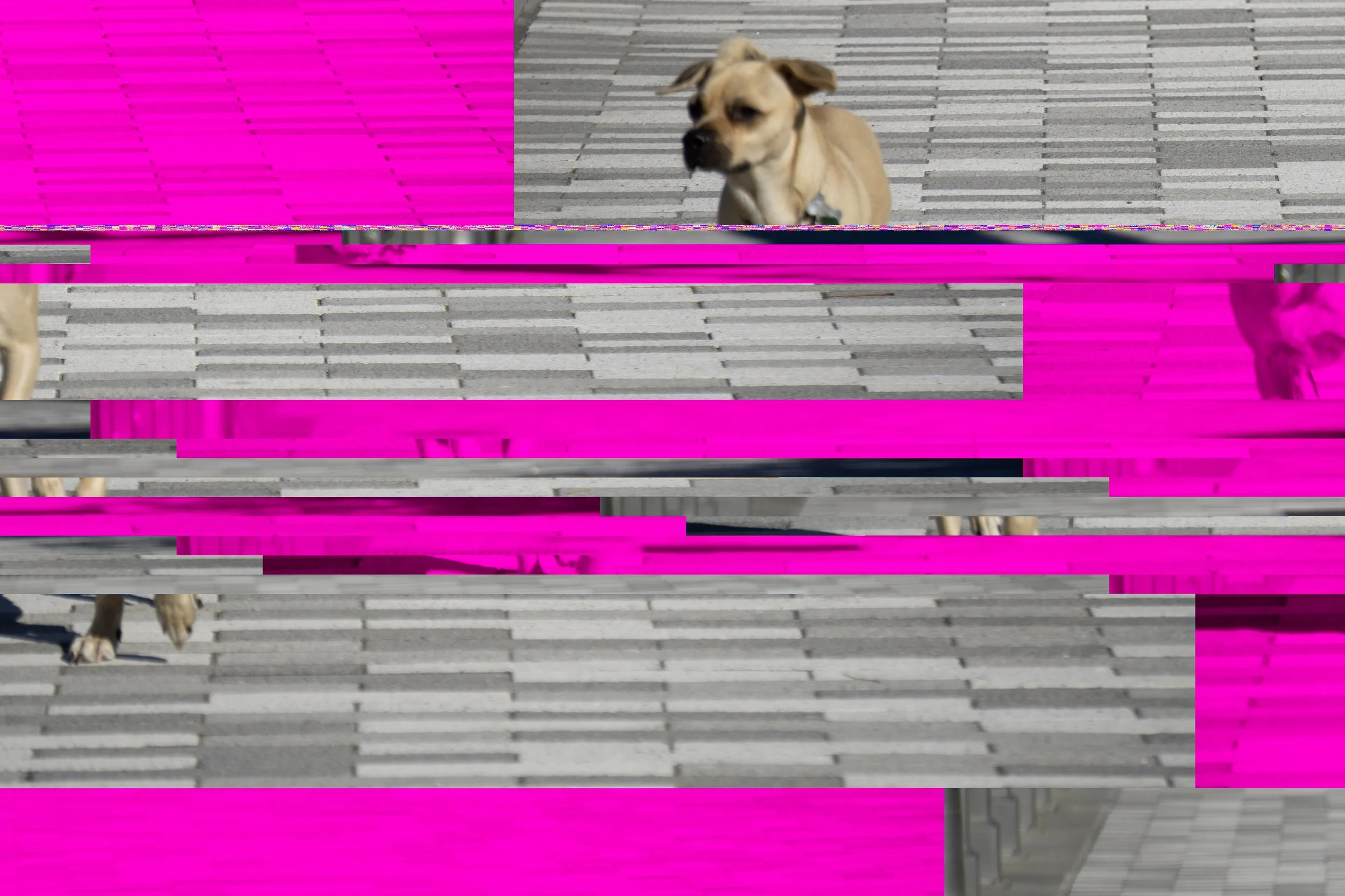 SONY ILCE-5100_20211019_093249.Id_1ac00000000169e5.jpg