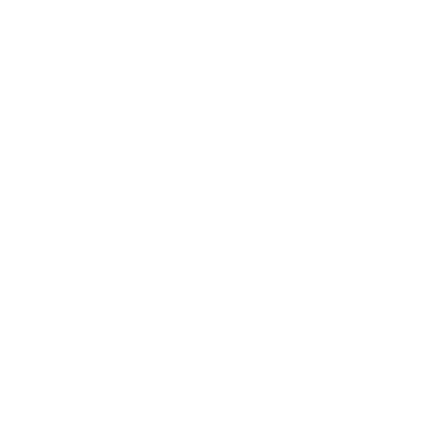 F.T. CLEANING SERVICES