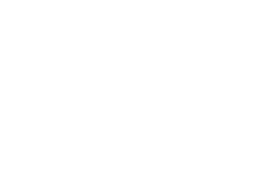 F.T. CLEANING SERVICES