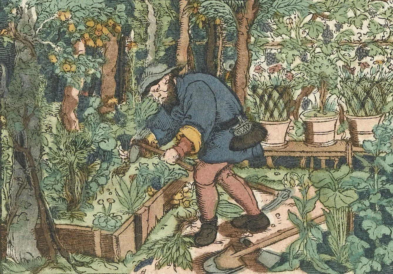 japanese block print of man gardening vegetables