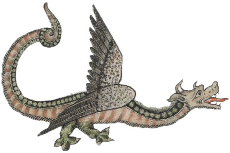 Medieval illustration of dragon