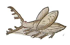 Medieval illustration of beetle