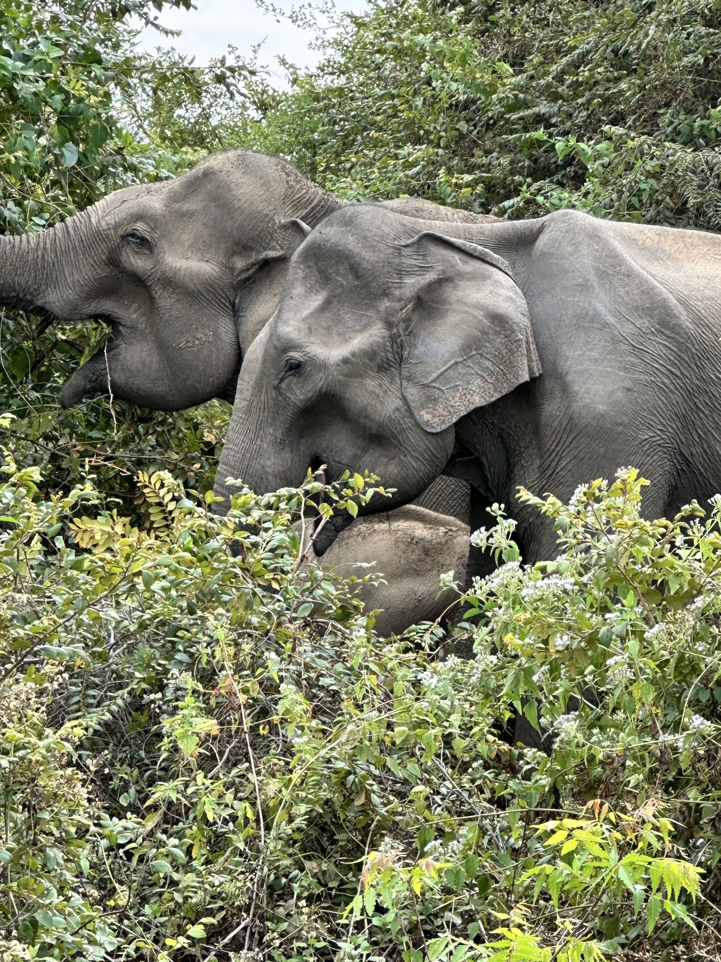 Signature: Customized Proposal and Comprehensive Planning