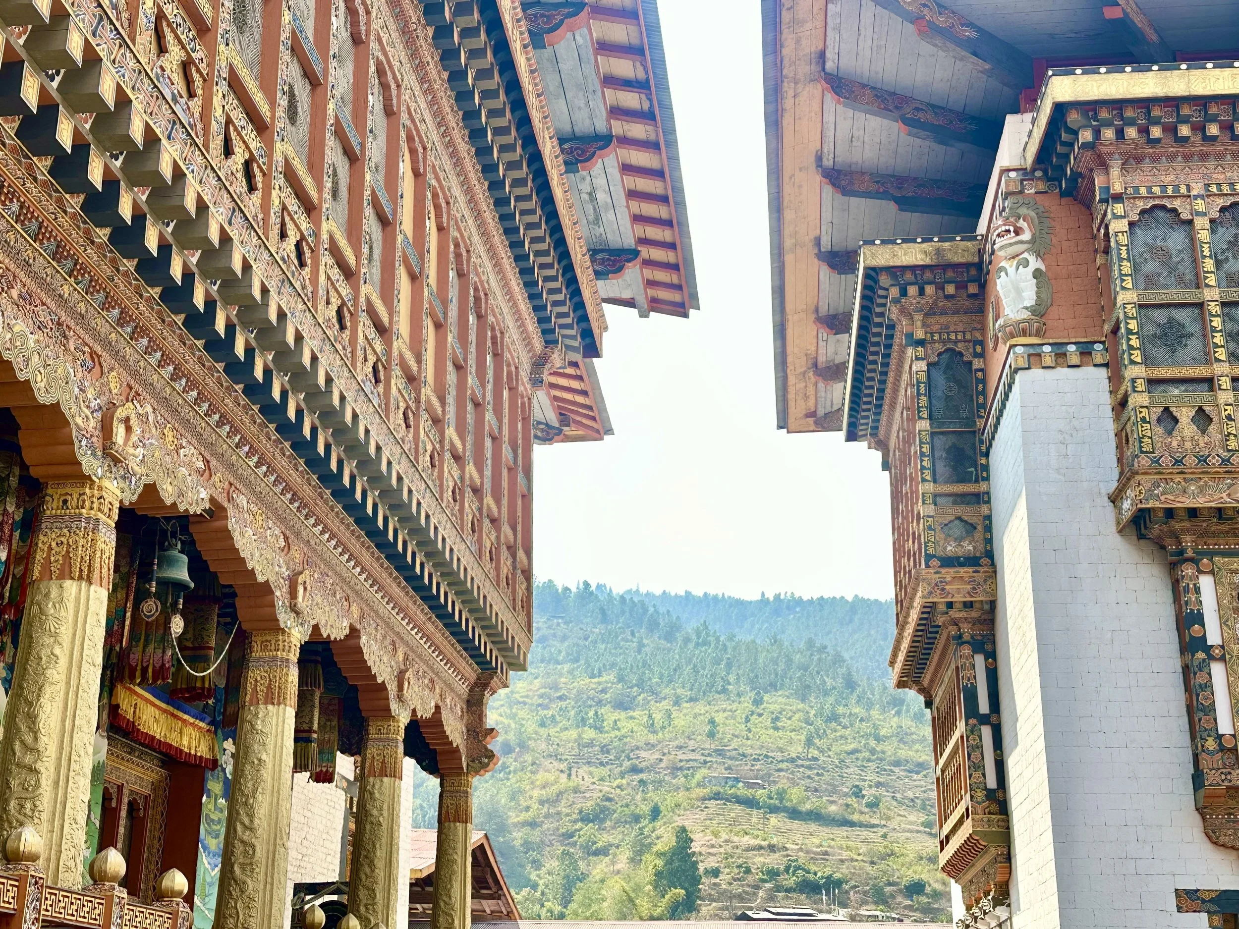 Curated: Customized Proposal + Partial Planning