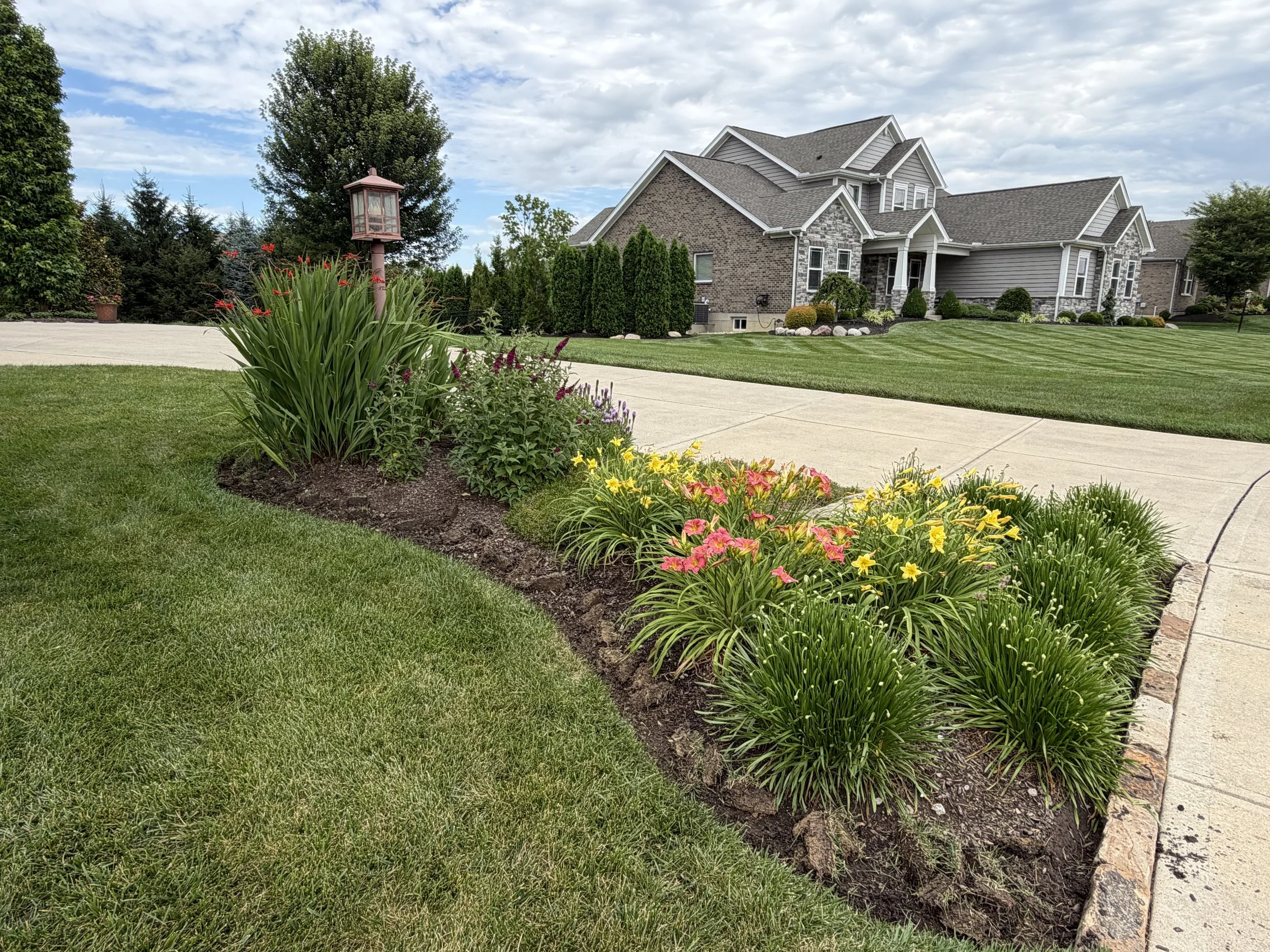 Beth Reid - Beth Roots Landscape and Design.jpeg