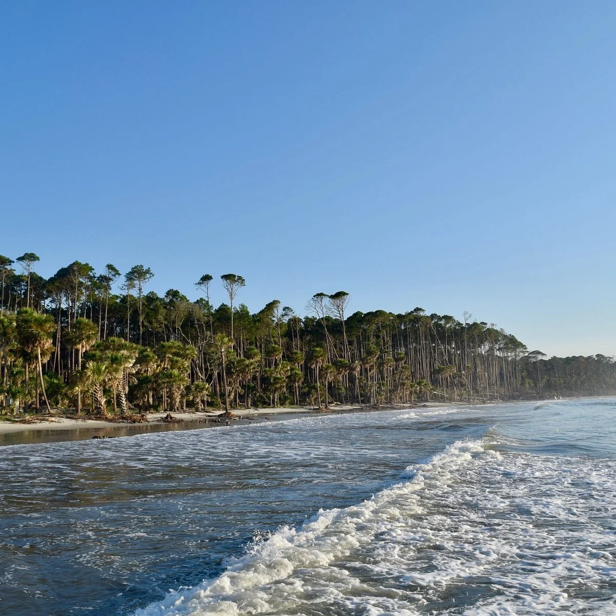 Ocean Hunting Island.jpg