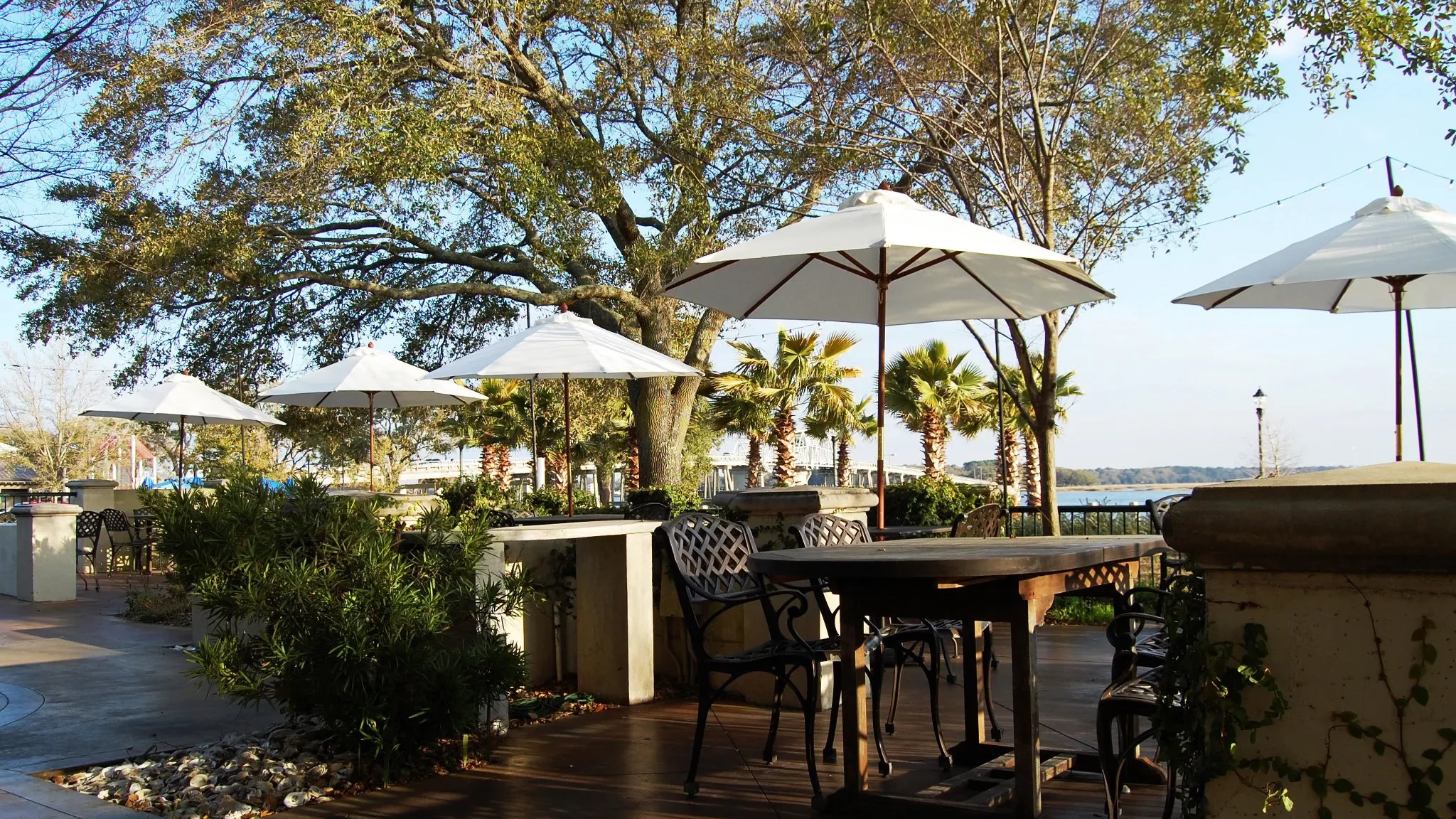 Saltus-River-Grill Dinner.webp