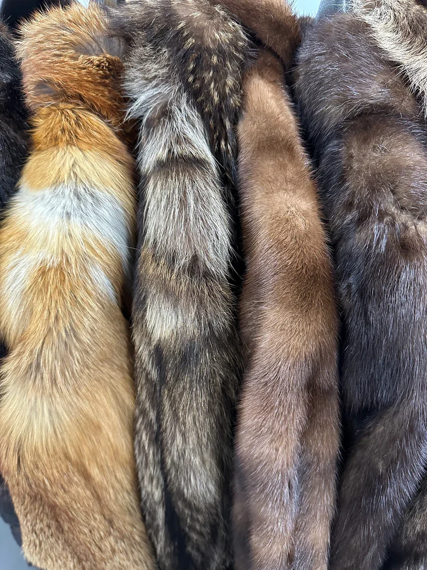 An array of four animal tails with different fur colors and patterns.
