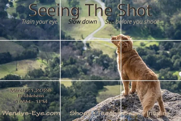 Seeing The Shot: Light and Composition