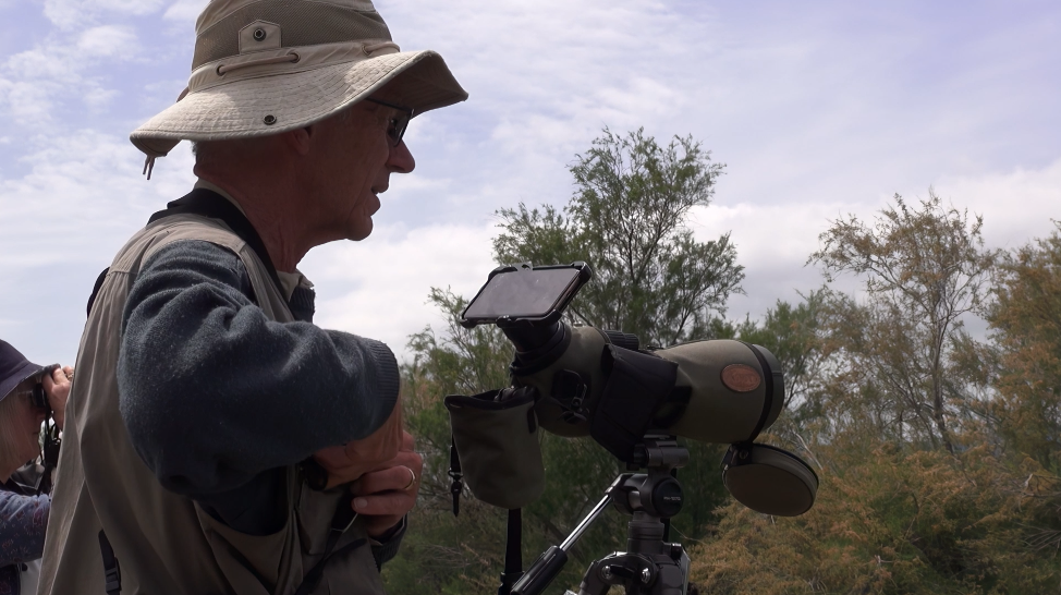 The First Swallow of Spring
