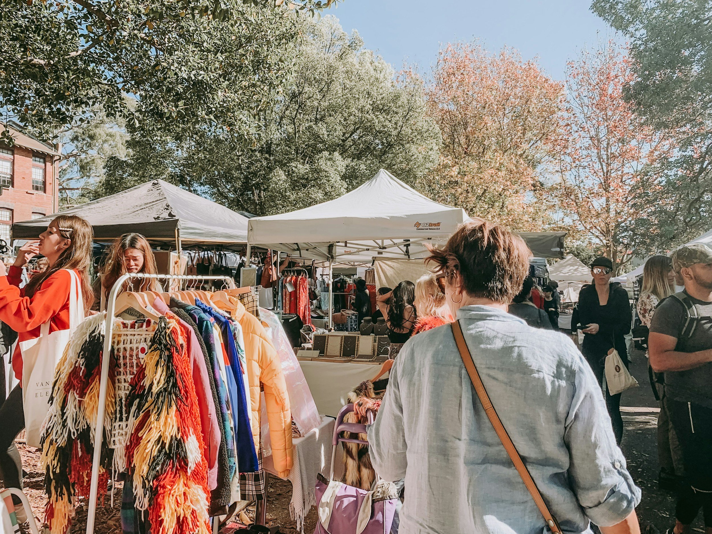 Pop-Up Early Bird Event