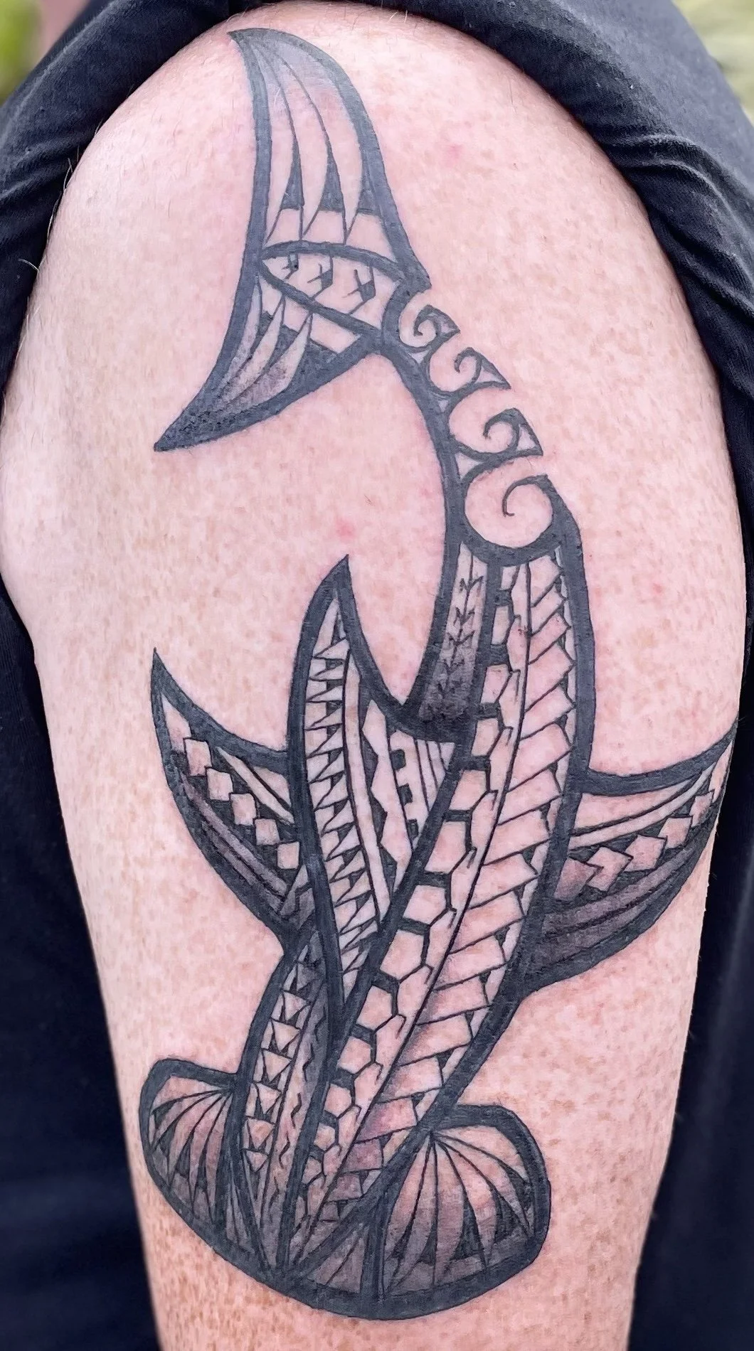 Monarch Tattoo Hawaii Oahu Hammerhead Shark Polynesian Tribal.jpeg