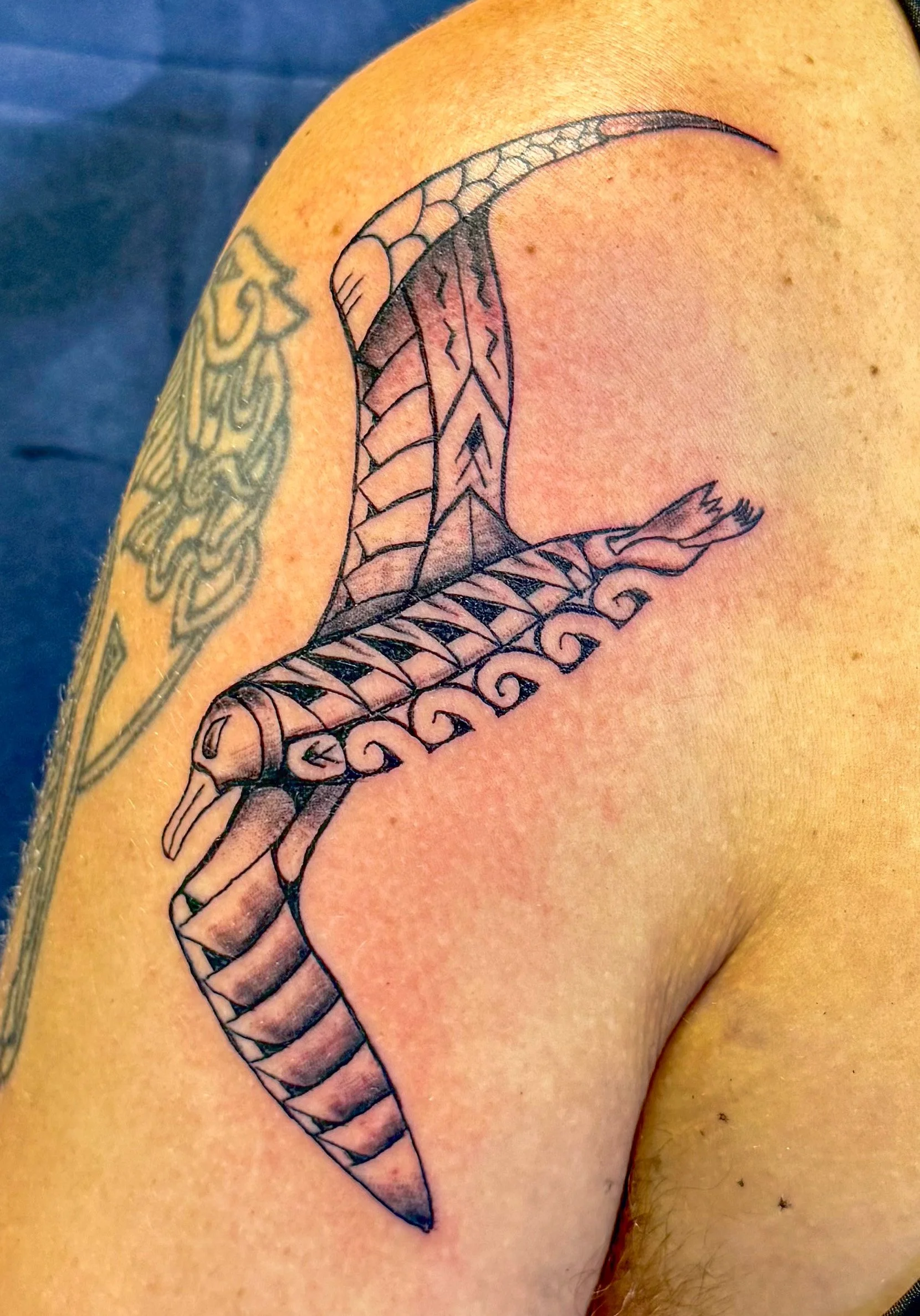 Iwa Bird Polynesian Design Shoulder Monarch Tattoo Hawaii