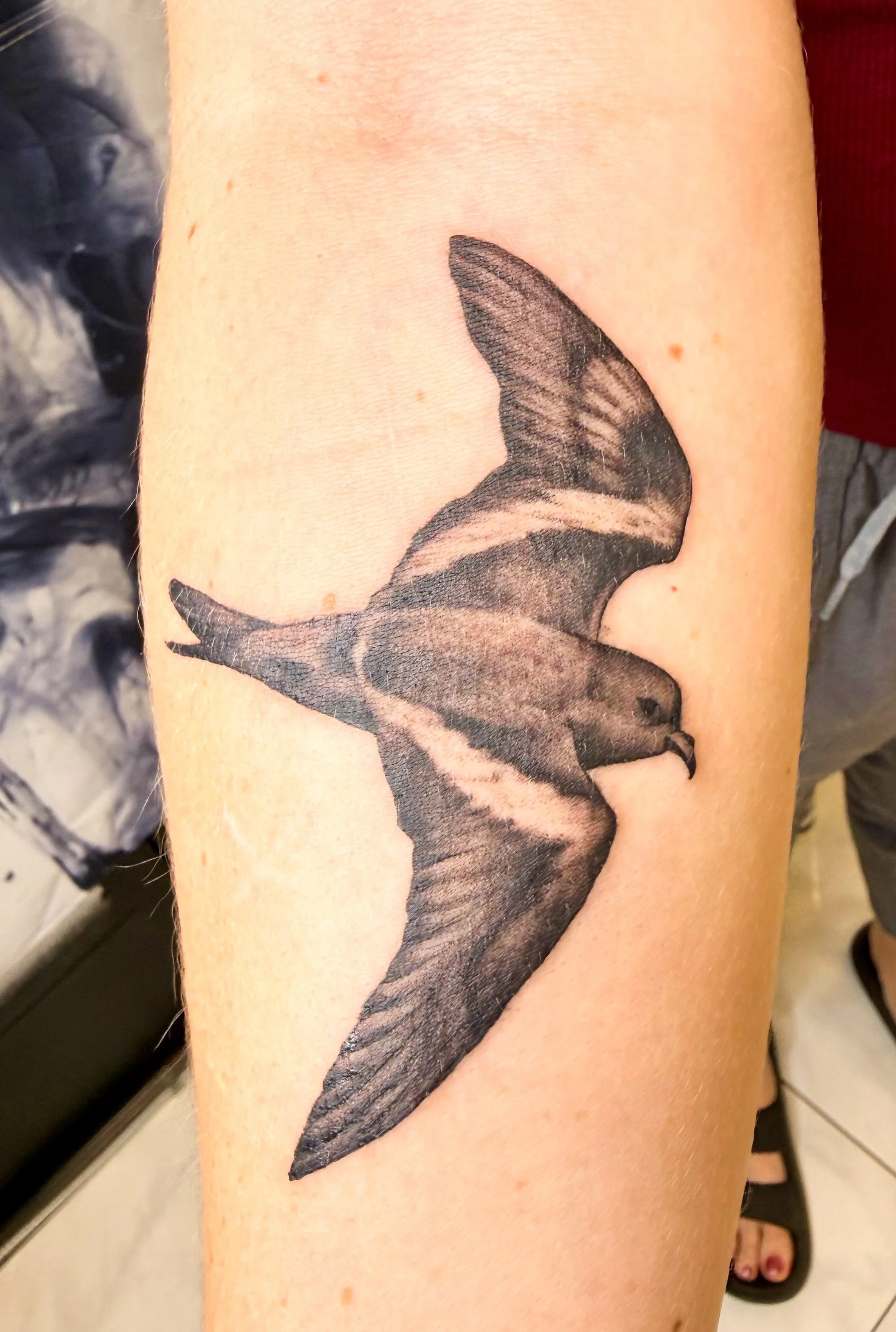 black-grey-bird-forearm-tattoo-hauula.jpg