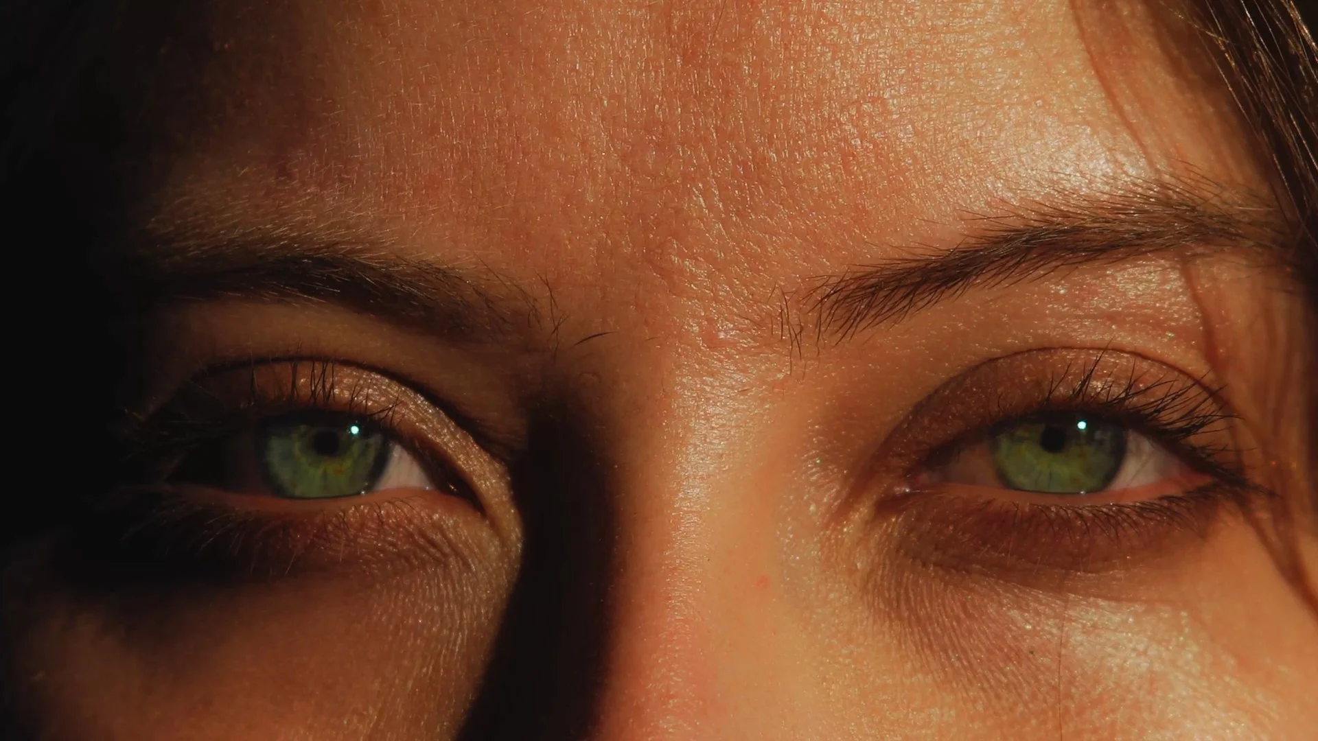 Still 2026-01-18 142522_1.13.2.jpg