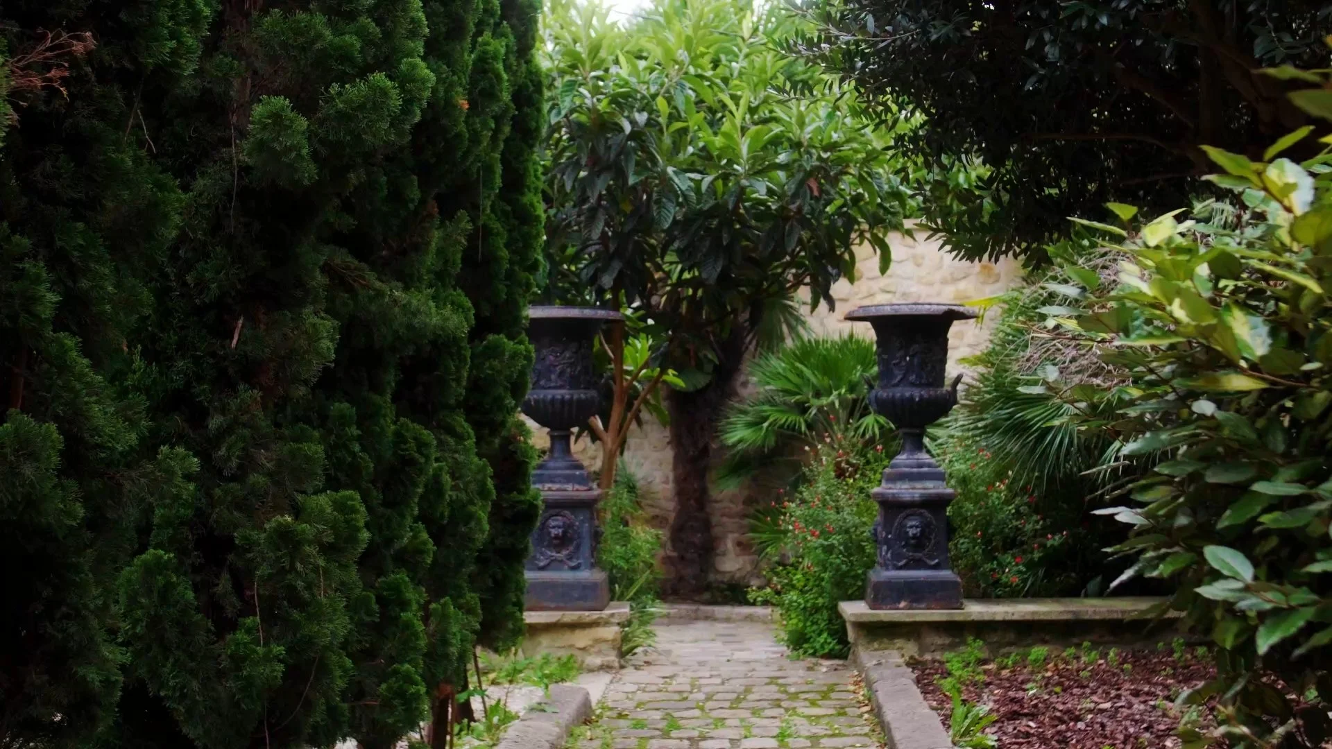 Still 2026-01-18 142522_1.4.1.jpg