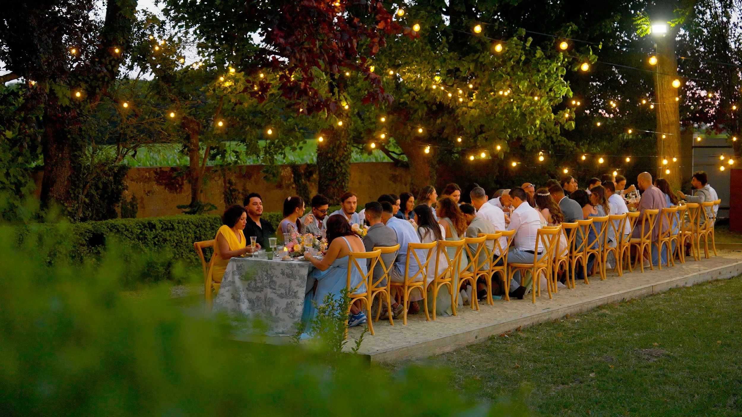 Still 2025-07-11 200120_1.69.1.jpg