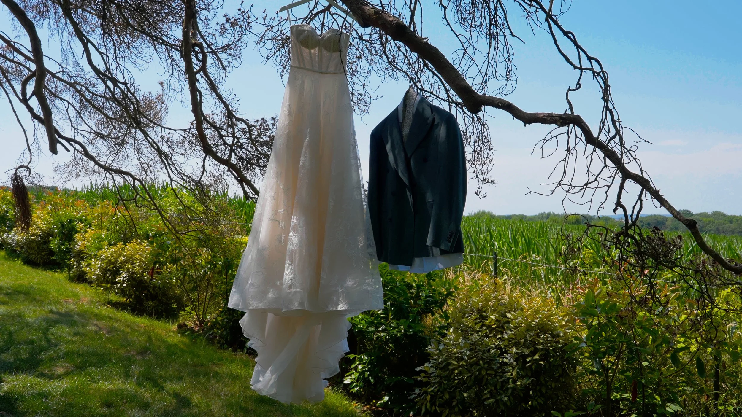 Still 2025-07-11 200120_2.1.1.jpg