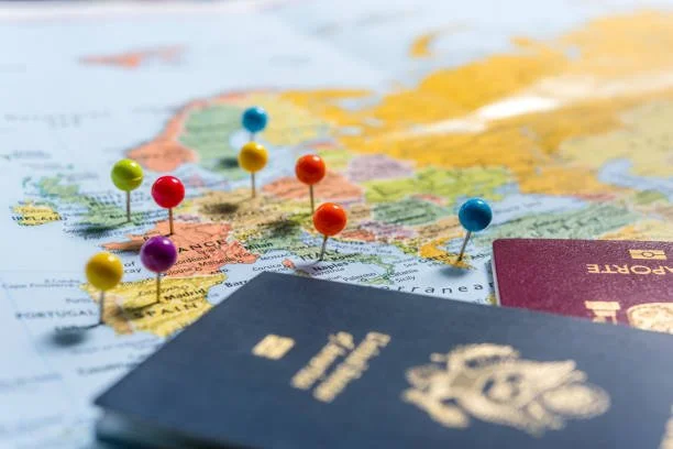 Do Lebanese Nationals Rely Heavily on US Public Welfare Programs?