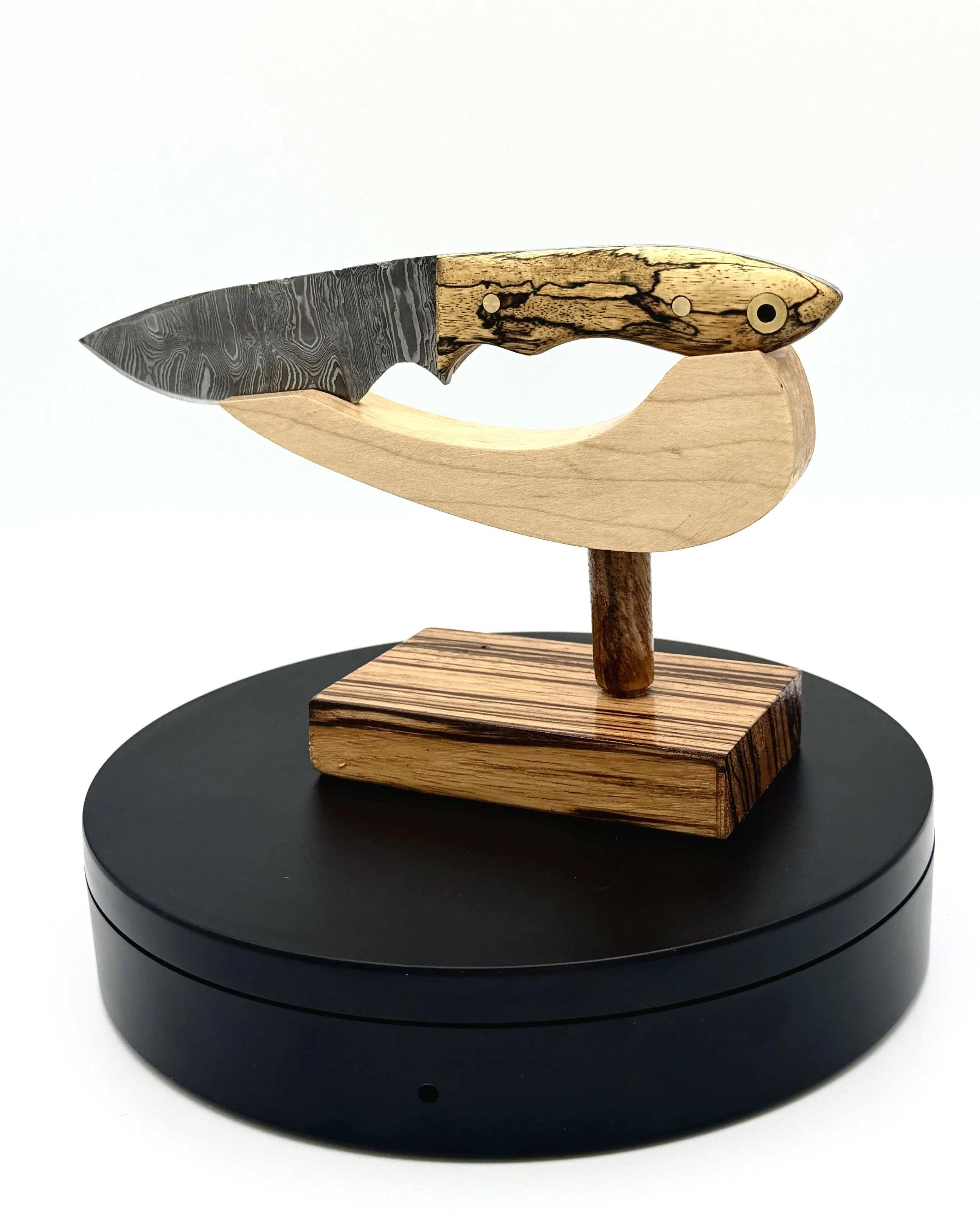 Damascus Steel EDC Knife with Spalted Tamarind Handle