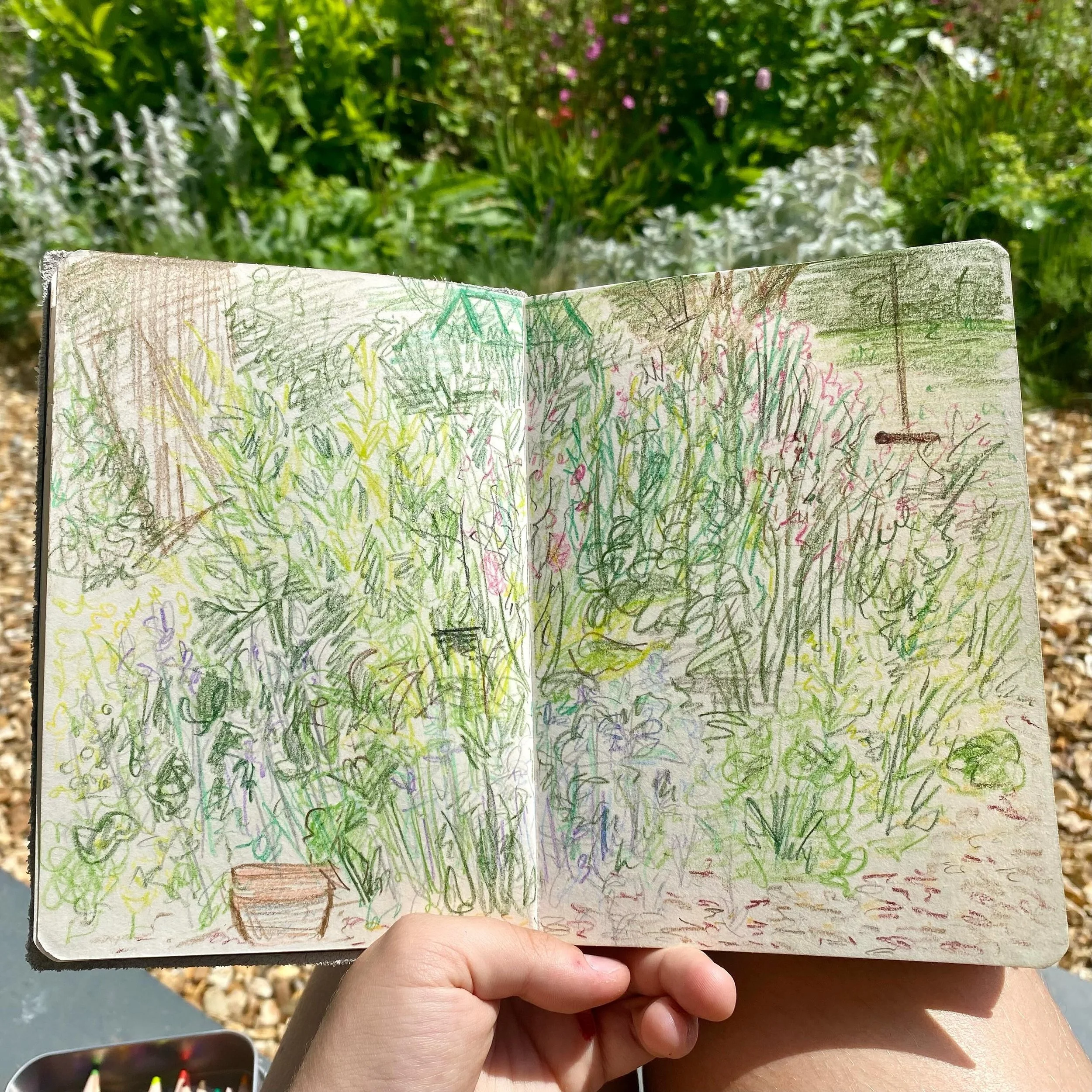 Sitting in the garden with coloured pencils

#illustration #colouredpencils #prismacolour