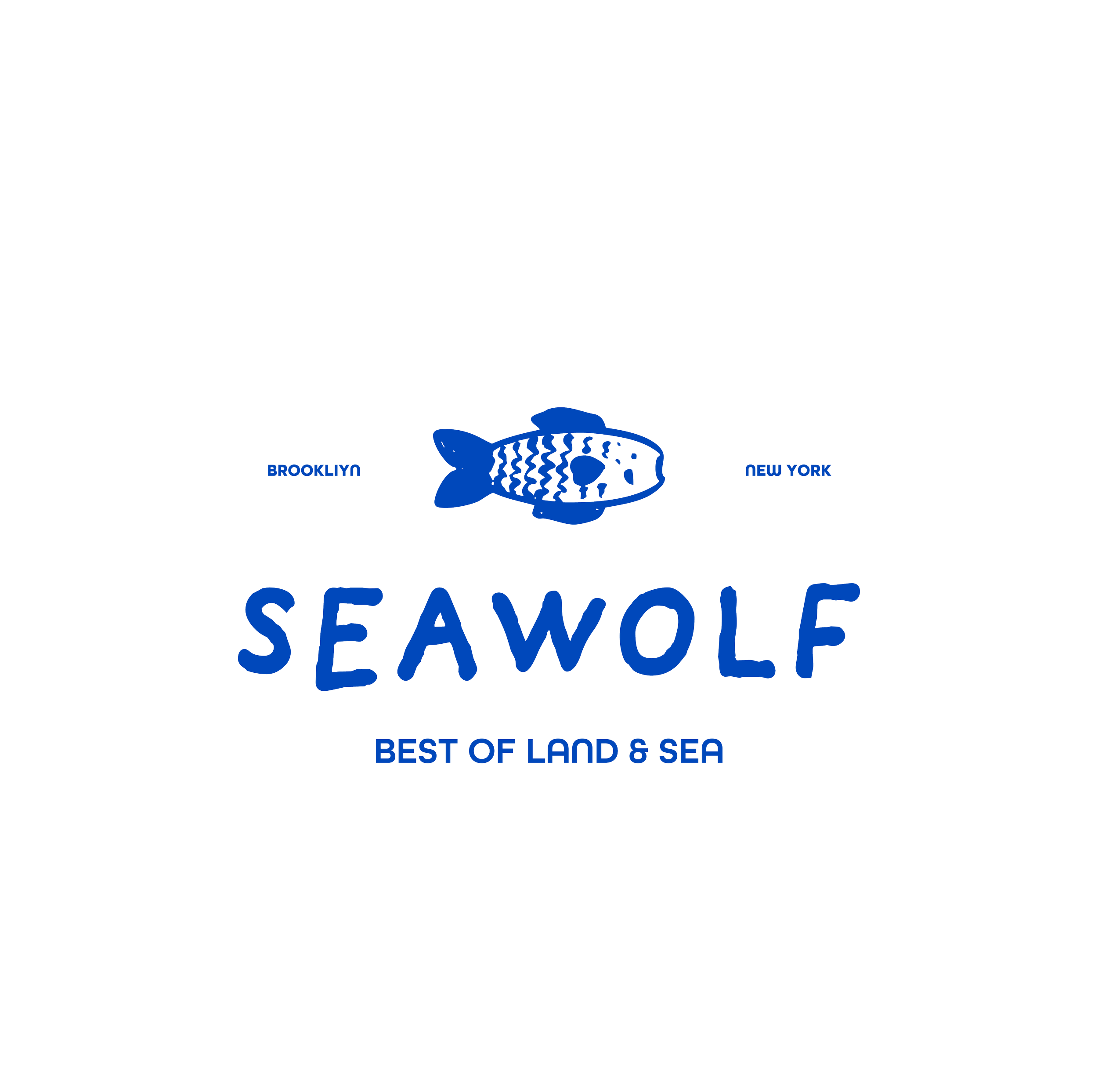 AZUL LOGO SIN FONDO .png