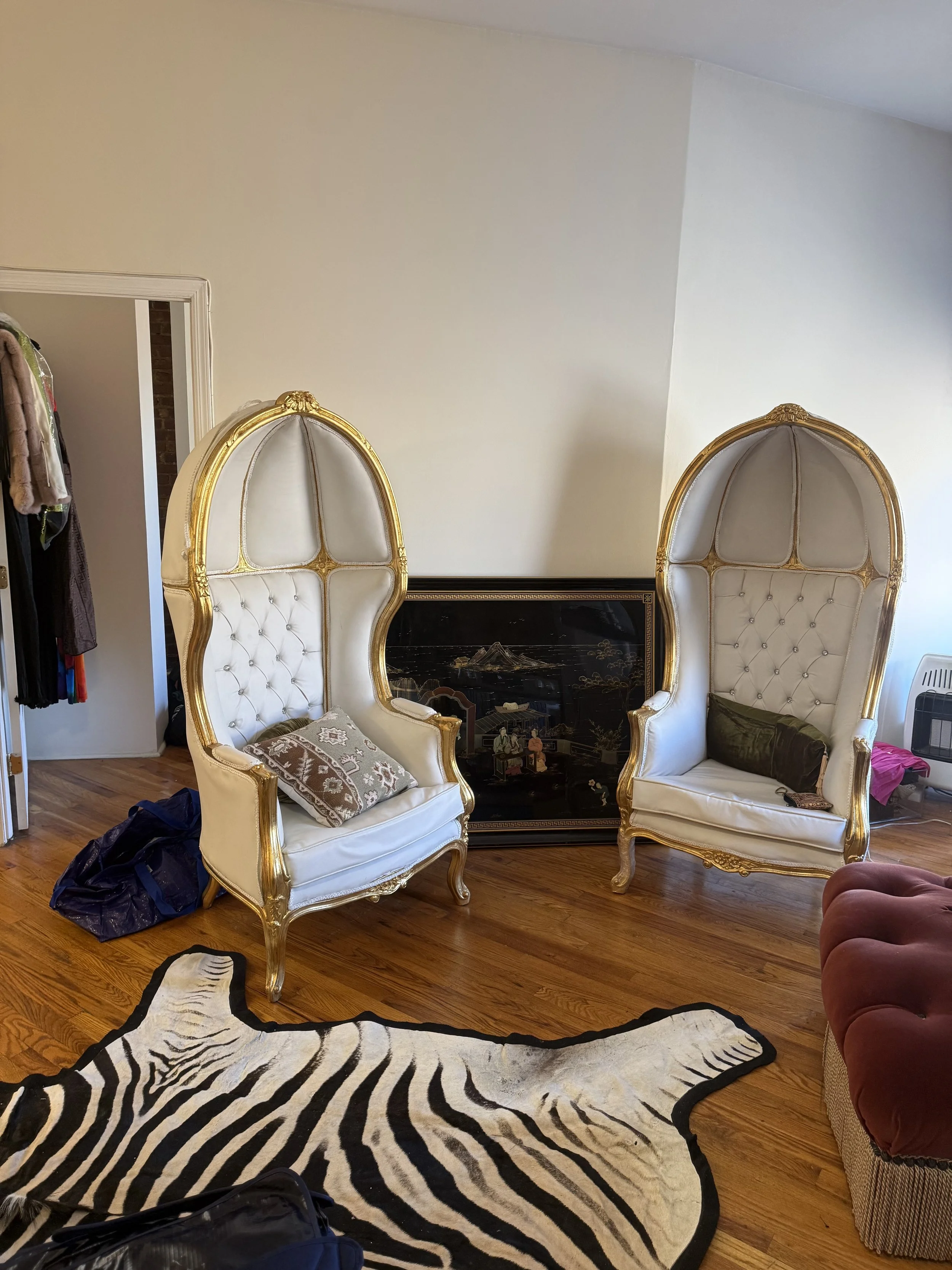 Balloon chairs, Zebra rug.jpg