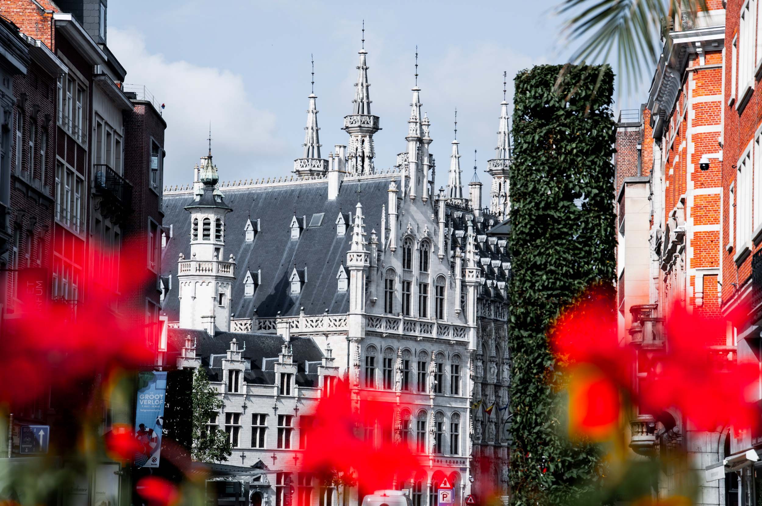 A historic Gothic building in Leuven, Belgium, featuring ornate spires and detailed architecture, framed by red flowers and surrounding brick and greenery on a city street.