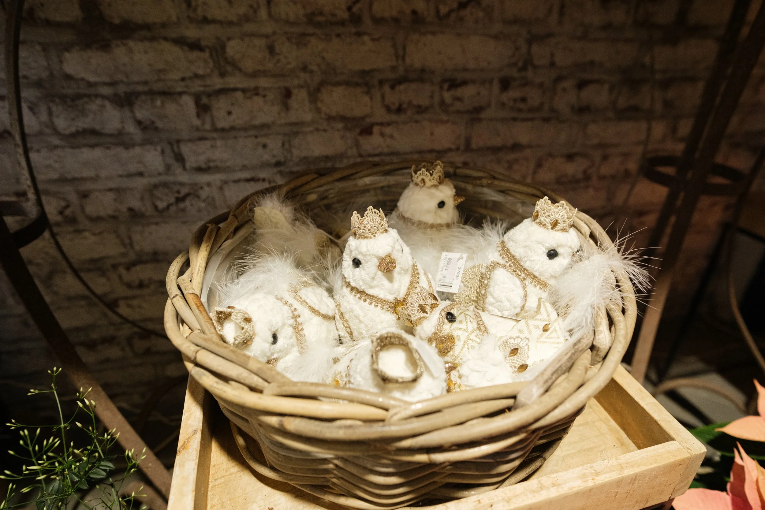 2025.12.17_Senteurs et Couleurs-5.jpg