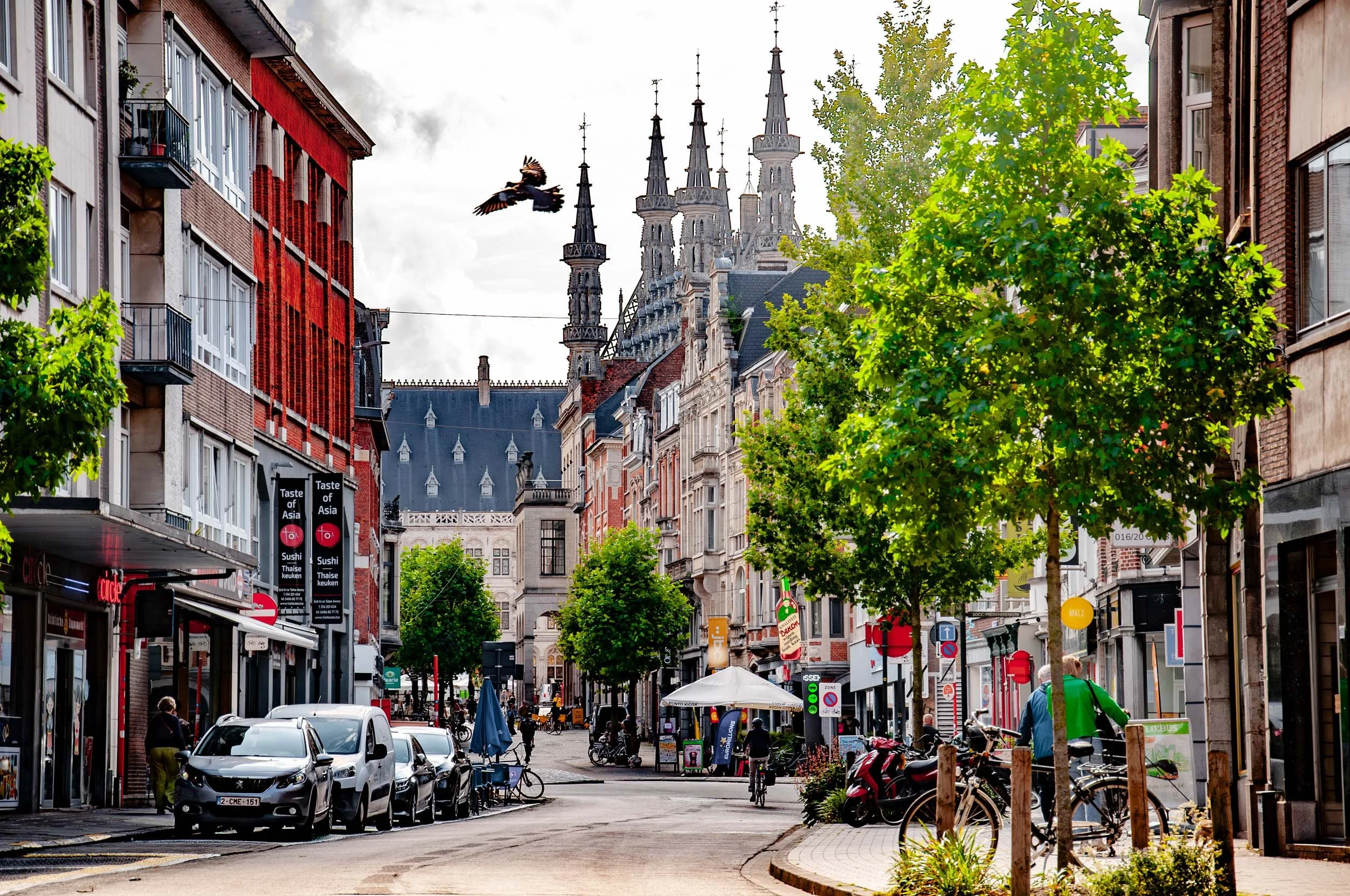 more services_04.jpg