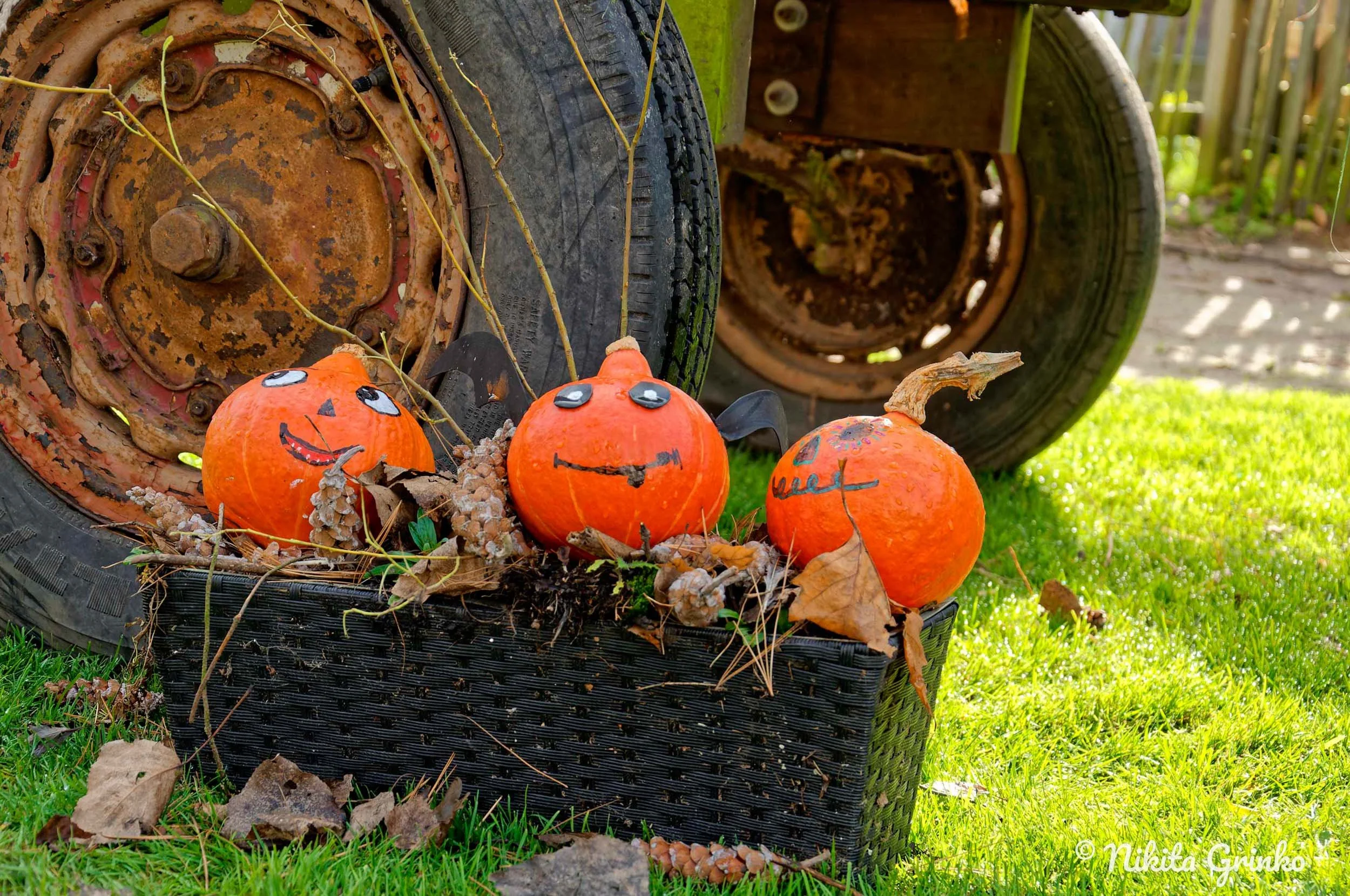 2024.06.02_CAN Bornem June 2024_11.jpg