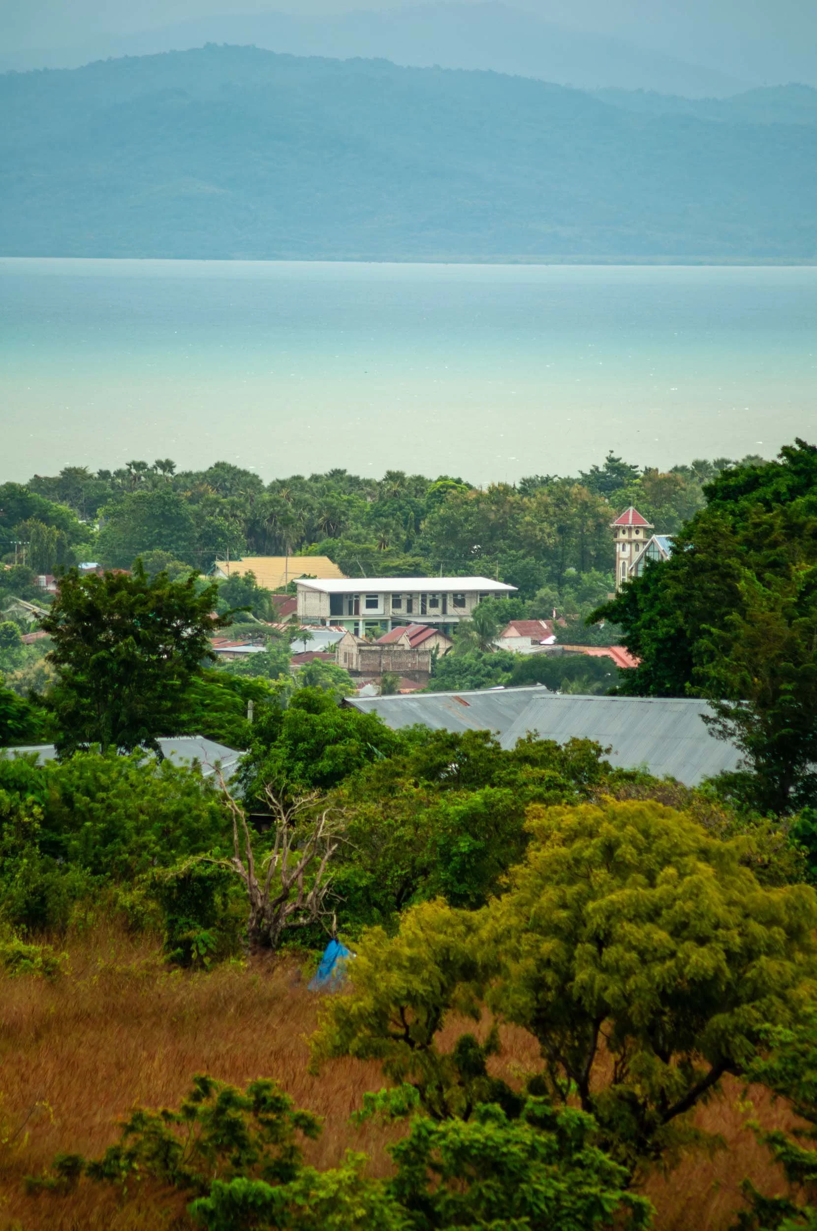 View of a small town with houses and buildings surrounded by lush green trees, with a large body of water and distant mountains in the background.