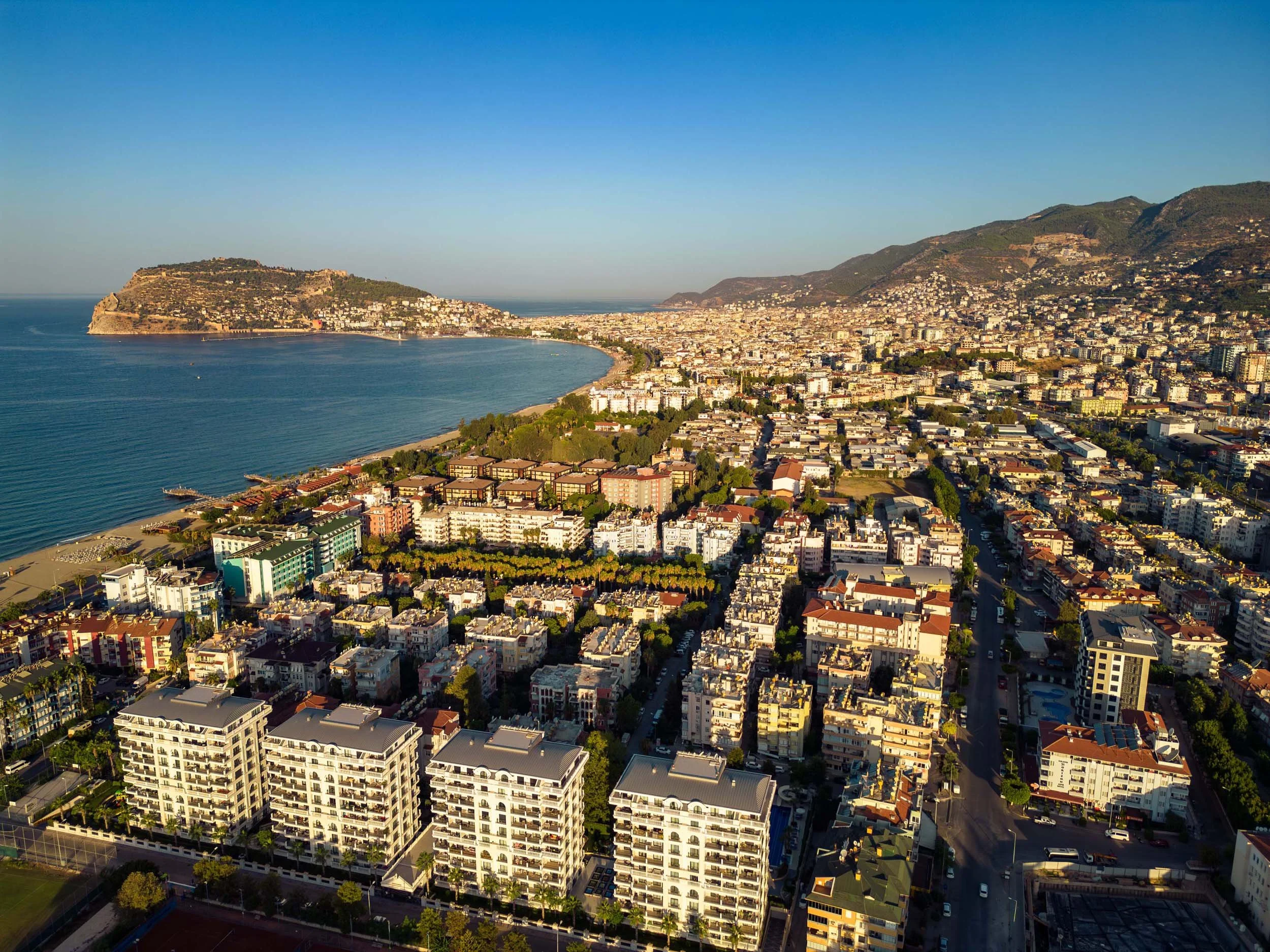 more services_12.jpg